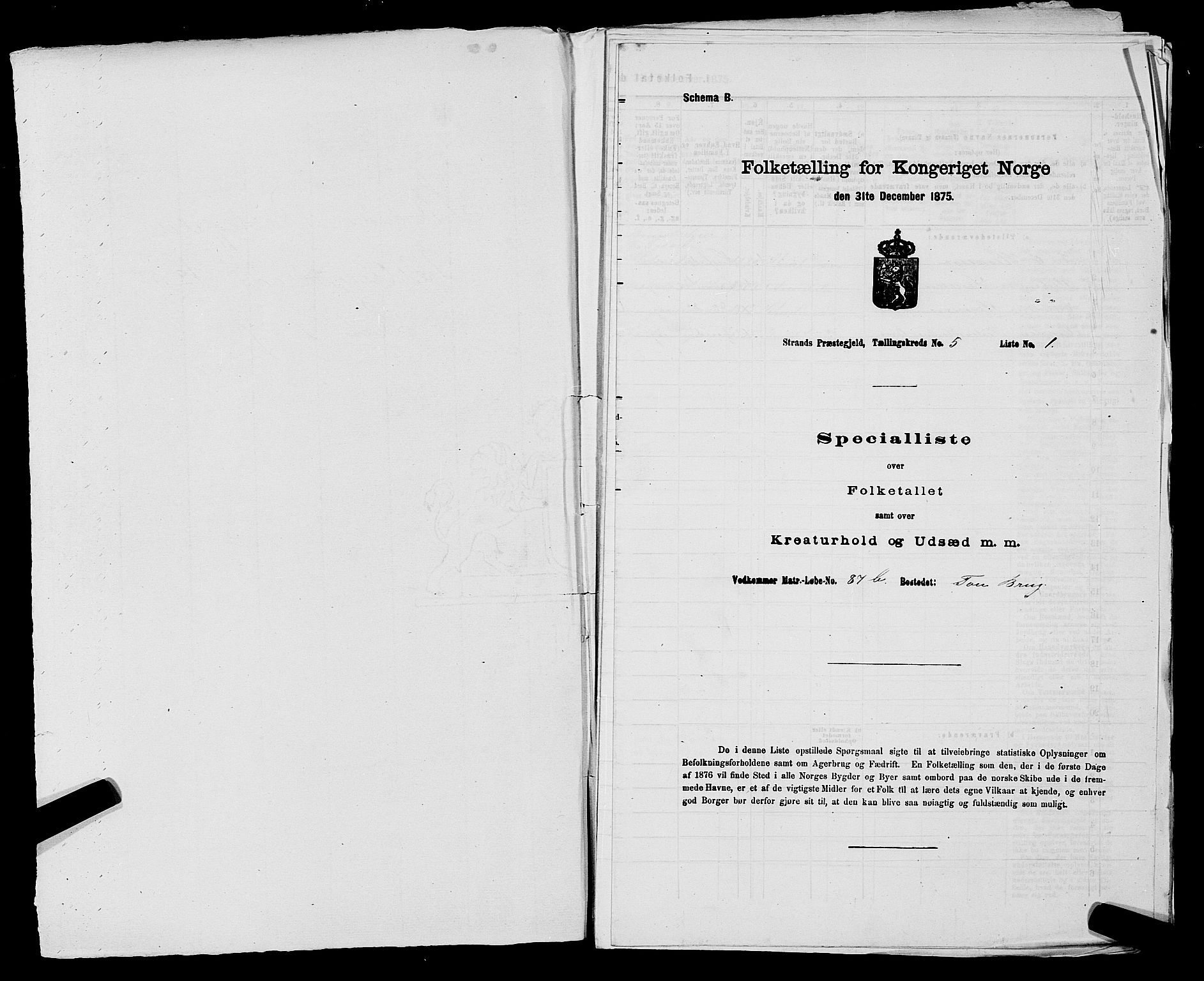 SAST, 1875 census for 1130P Strand, 1875, p. 445