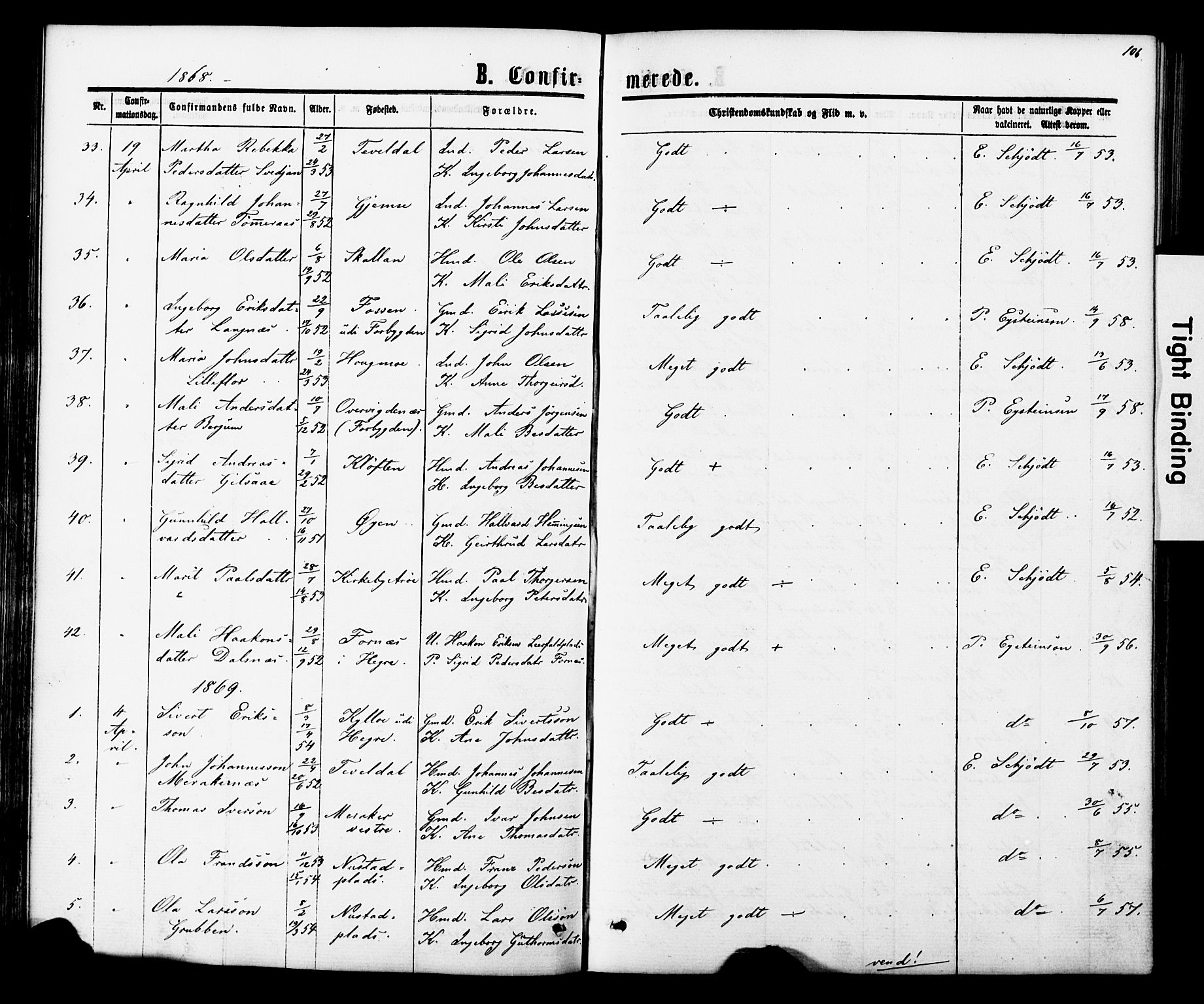 Ministerialprotokoller, klokkerbøker og fødselsregistre - Nord-Trøndelag, SAT/A-1458/706/L0049: Parish register (copy) no. 706C01, 1864-1895, p. 106