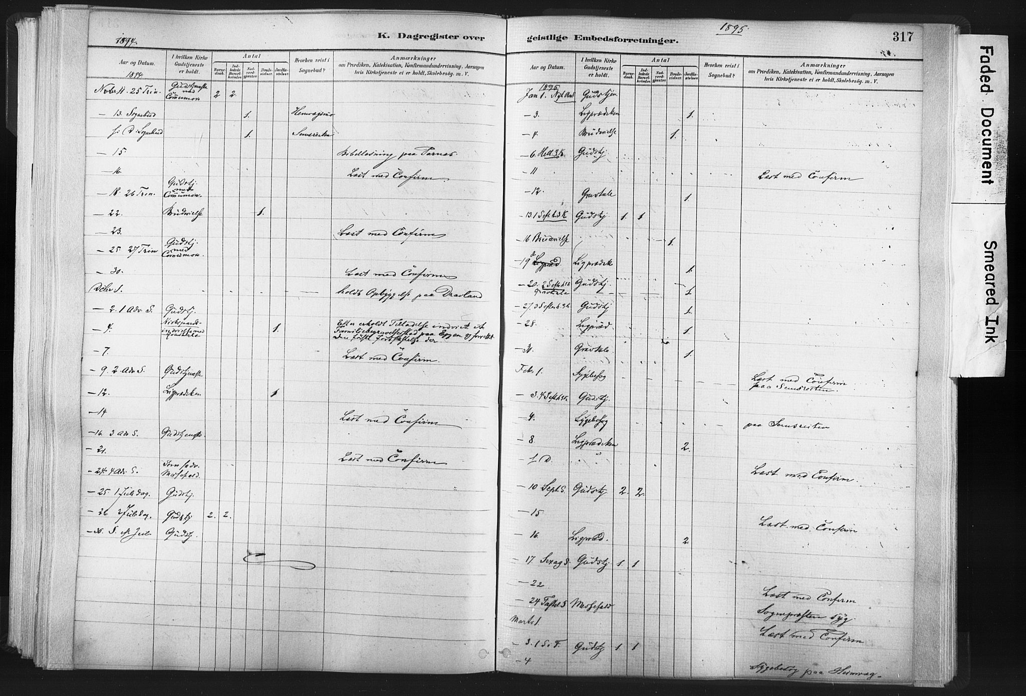 Ministerialprotokoller, klokkerbøker og fødselsregistre - Nord-Trøndelag, SAT/A-1458/749/L0474: Parish register (official) no. 749A08, 1887-1903, p. 317