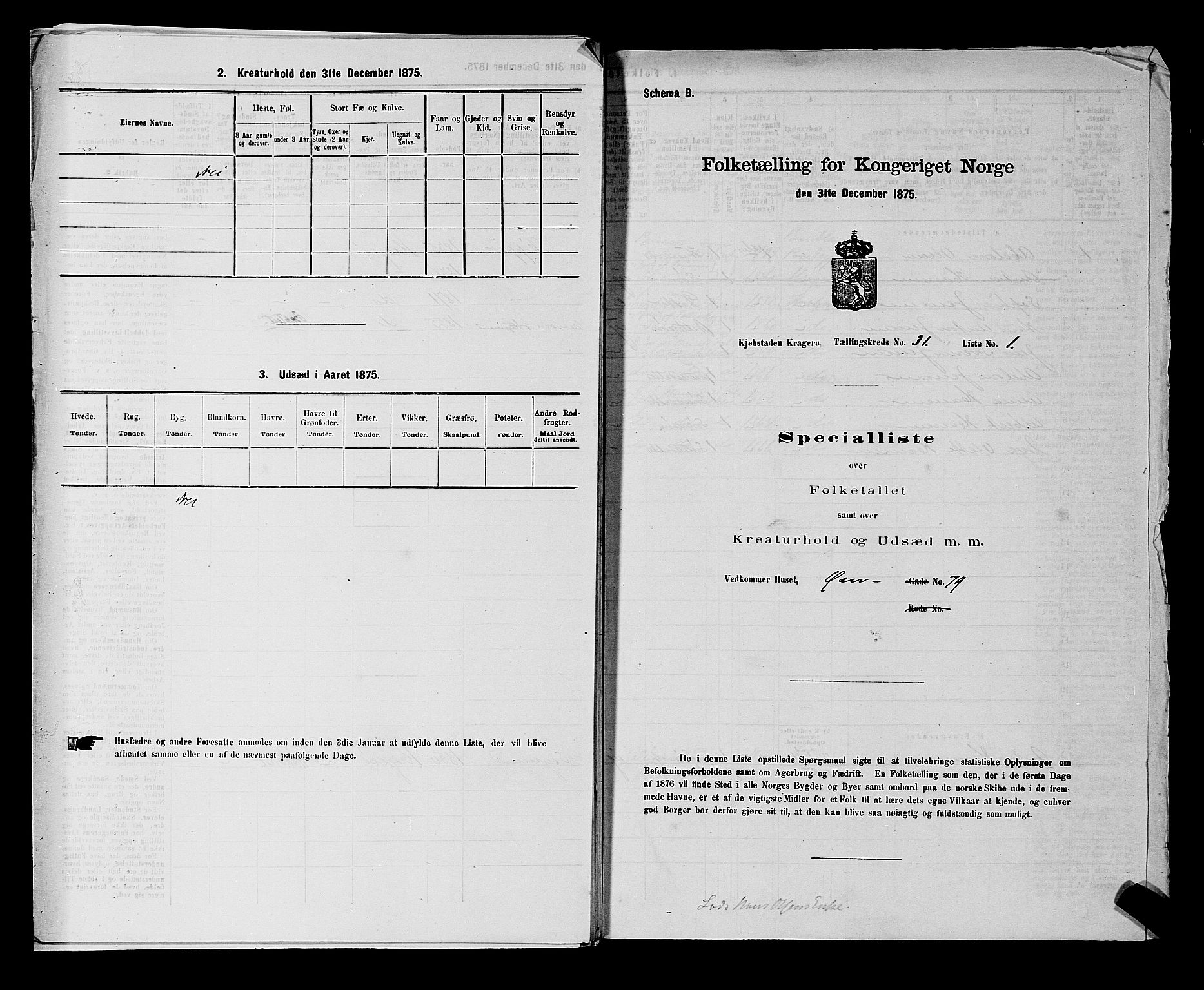 SAKO, 1875 census for 0801P Kragerø, 1875, p. 802