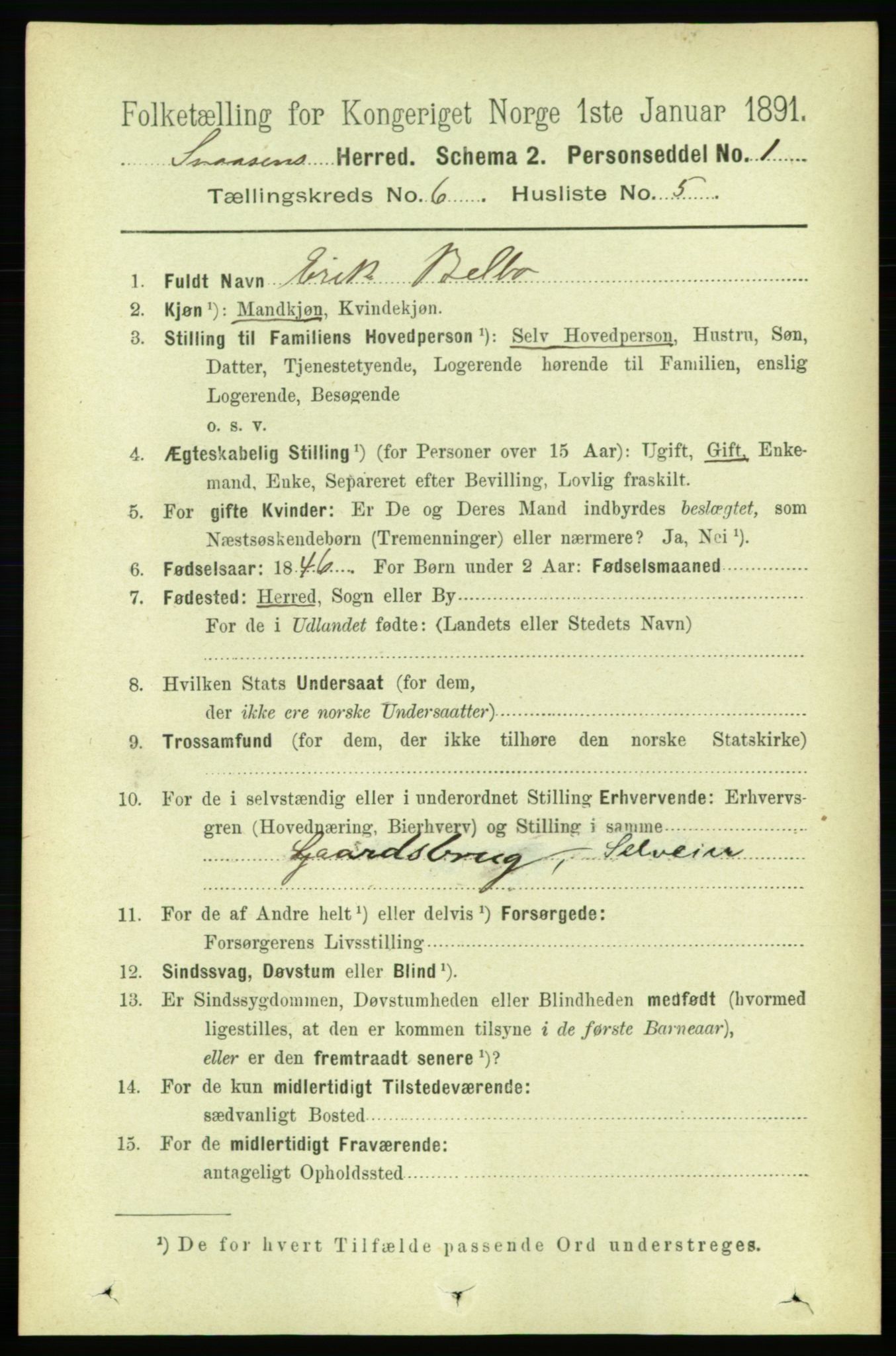 RA, 1891 census for 1736 Snåsa, 1891, p. 1916