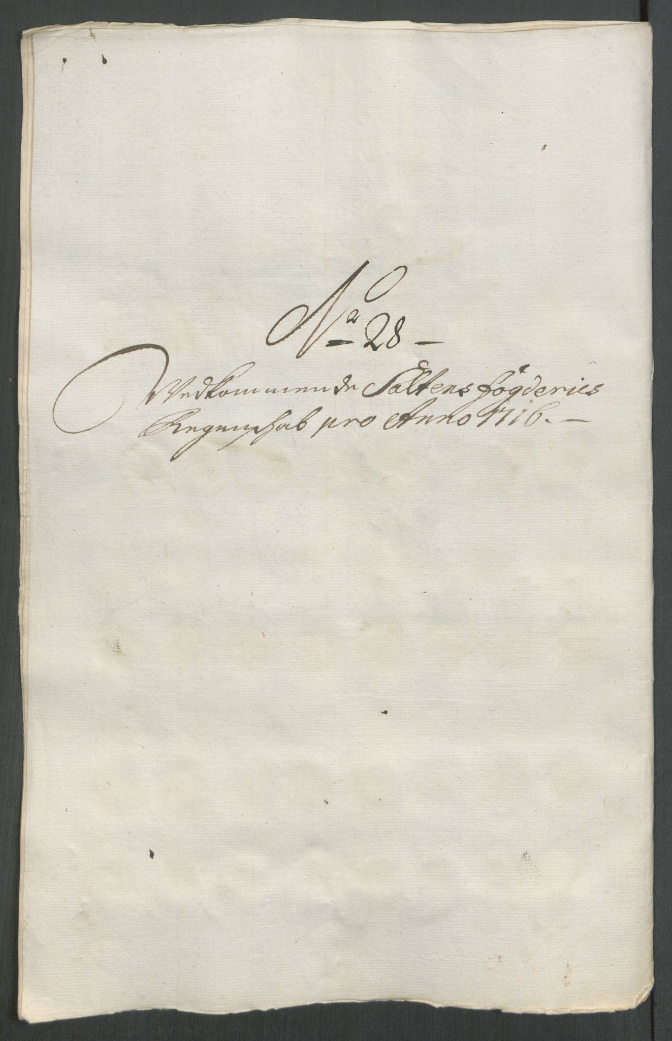 Rentekammeret inntil 1814, Reviderte regnskaper, Fogderegnskap, AV/RA-EA-4092/R66/L4586: Fogderegnskap Salten, 1716, p. 198