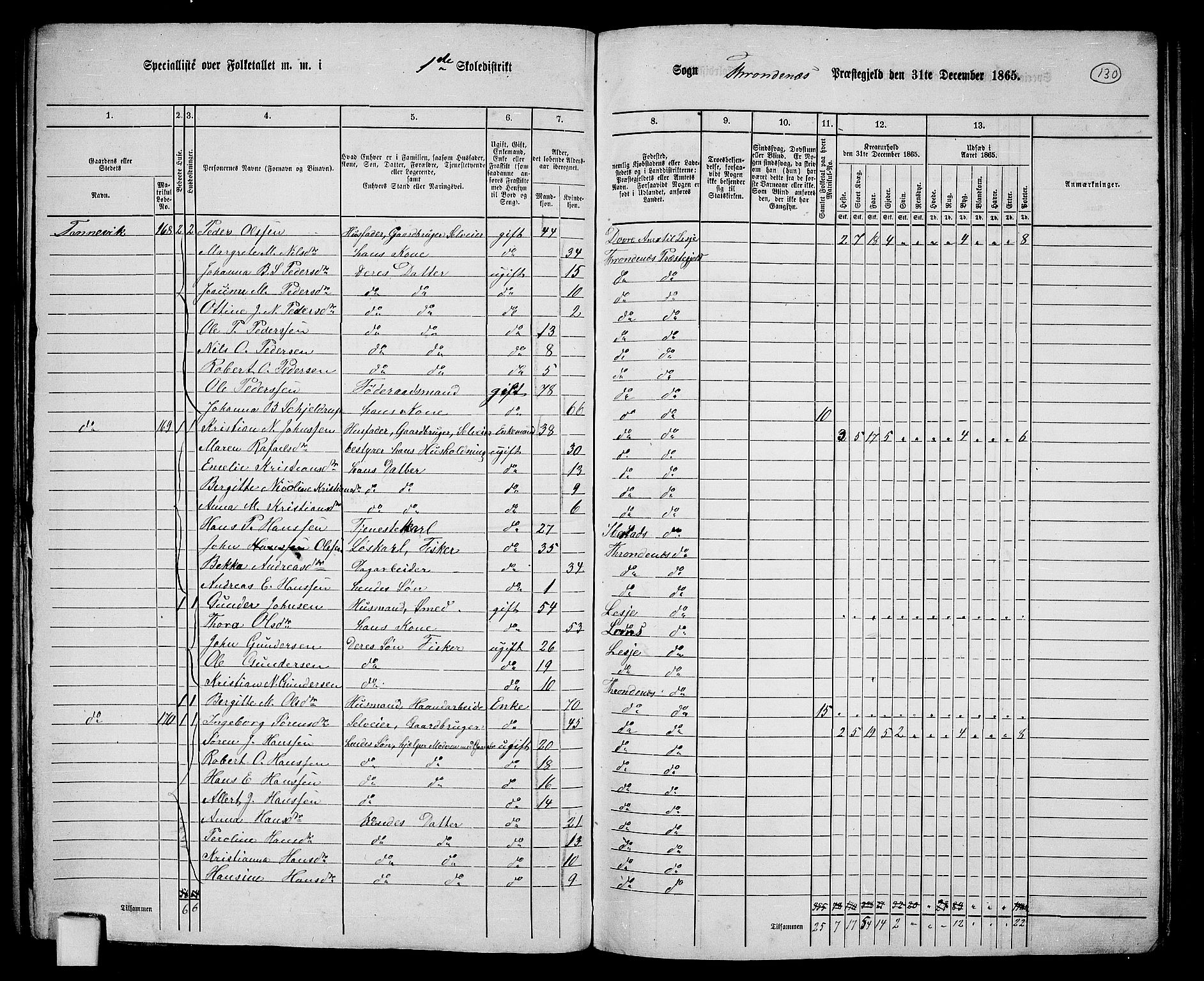 RA, 1865 census for Trondenes, 1865, p. 22