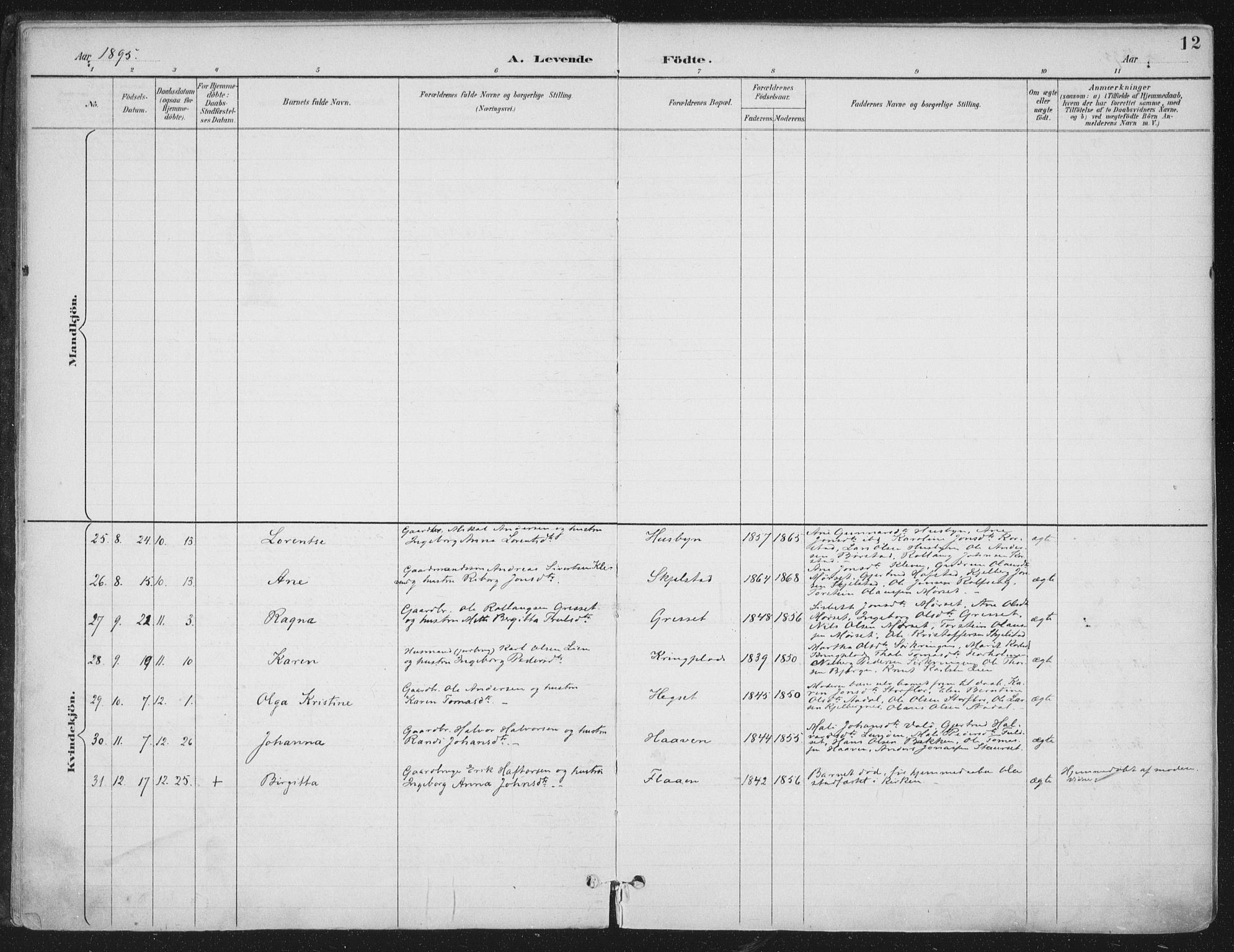 Ministerialprotokoller, klokkerbøker og fødselsregistre - Nord-Trøndelag, SAT/A-1458/703/L0031: Parish register (official) no. 703A04, 1893-1914, p. 12