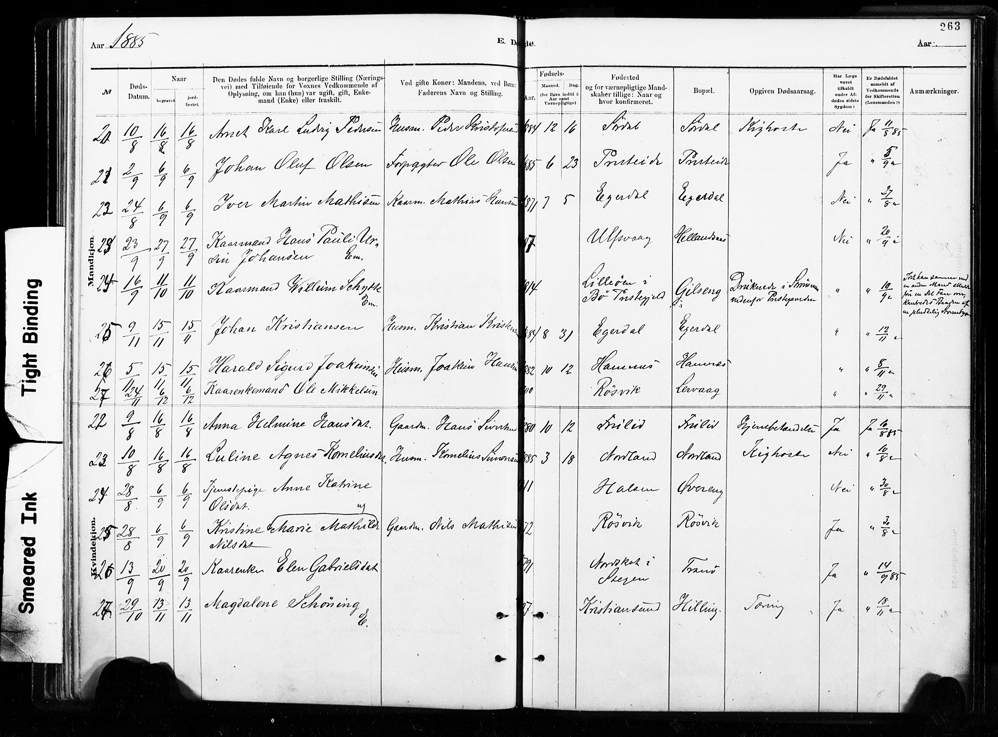 Ministerialprotokoller, klokkerbøker og fødselsregistre - Nordland, AV/SAT-A-1459/859/L0846: Parish register (official) no. 859A06, 1878-1889, p. 263