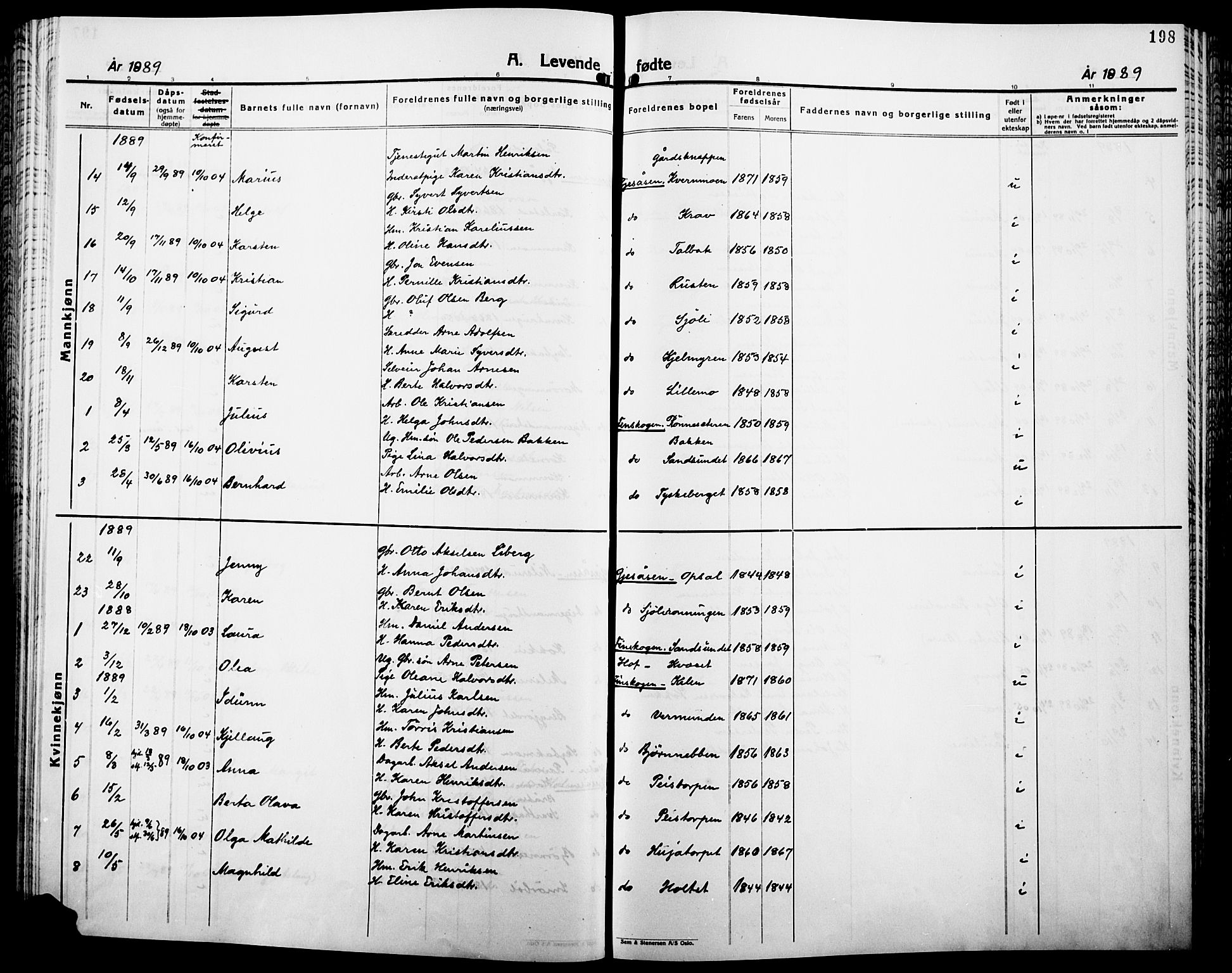 Åsnes prestekontor, SAH/PREST-042/H/Ha/Haa/L0000B: Parish register (official), 1870-1889, p. 198