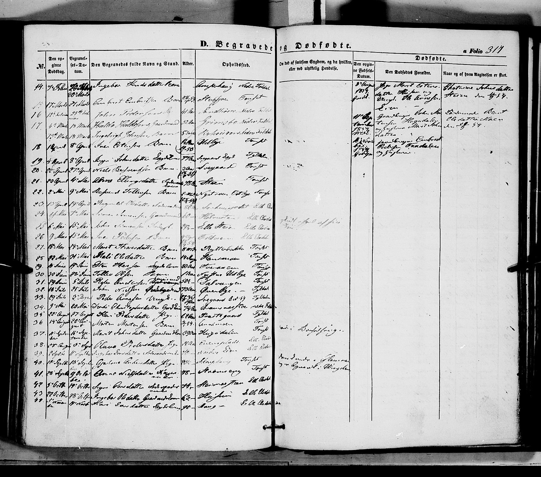 Tynset prestekontor, SAH/PREST-058/H/Ha/Haa/L0020: Parish register (official) no. 20, 1848-1862, p. 317