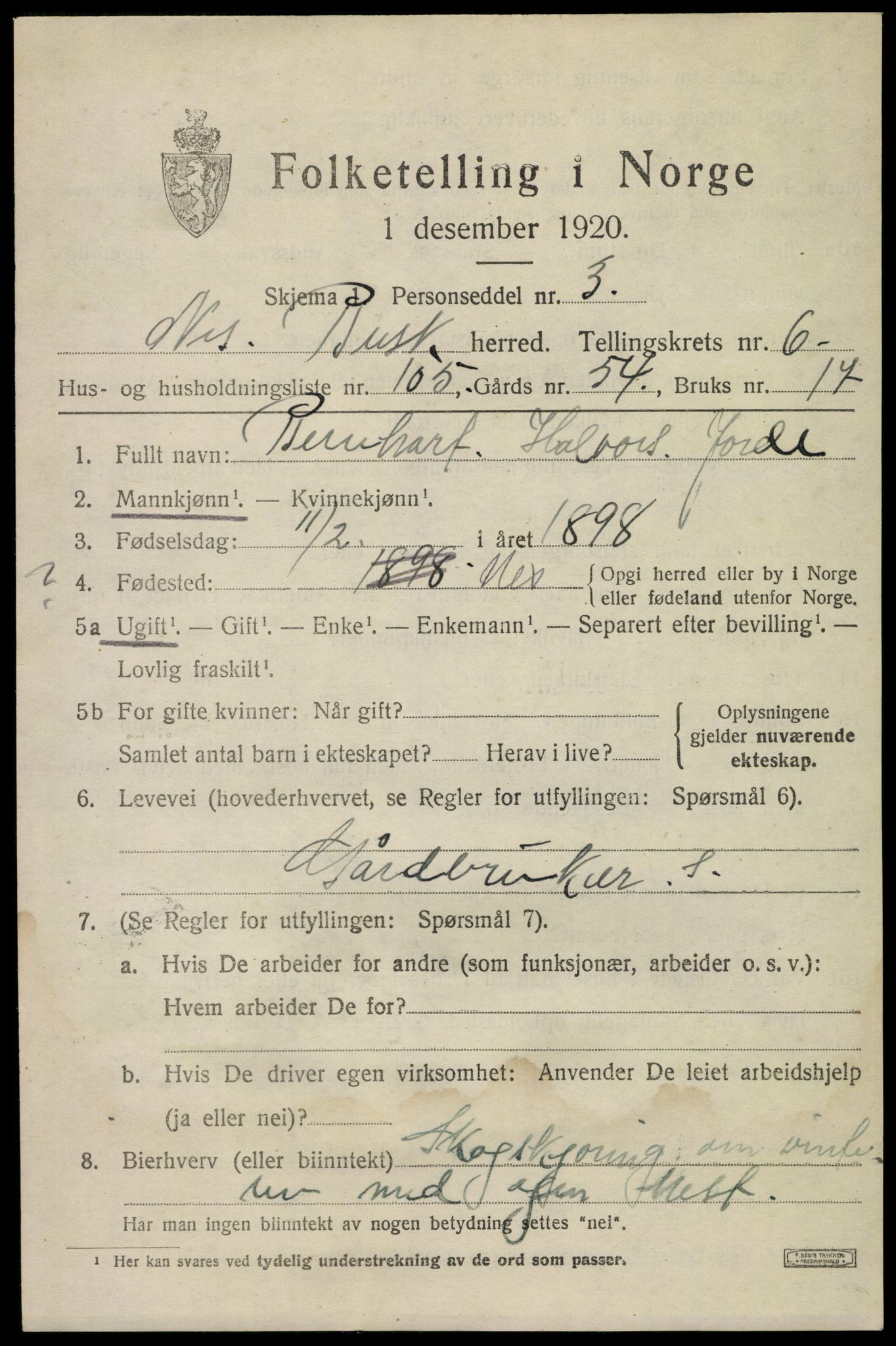 SAKO, 1920 census for Nes (Buskerud), 1920, p. 4334