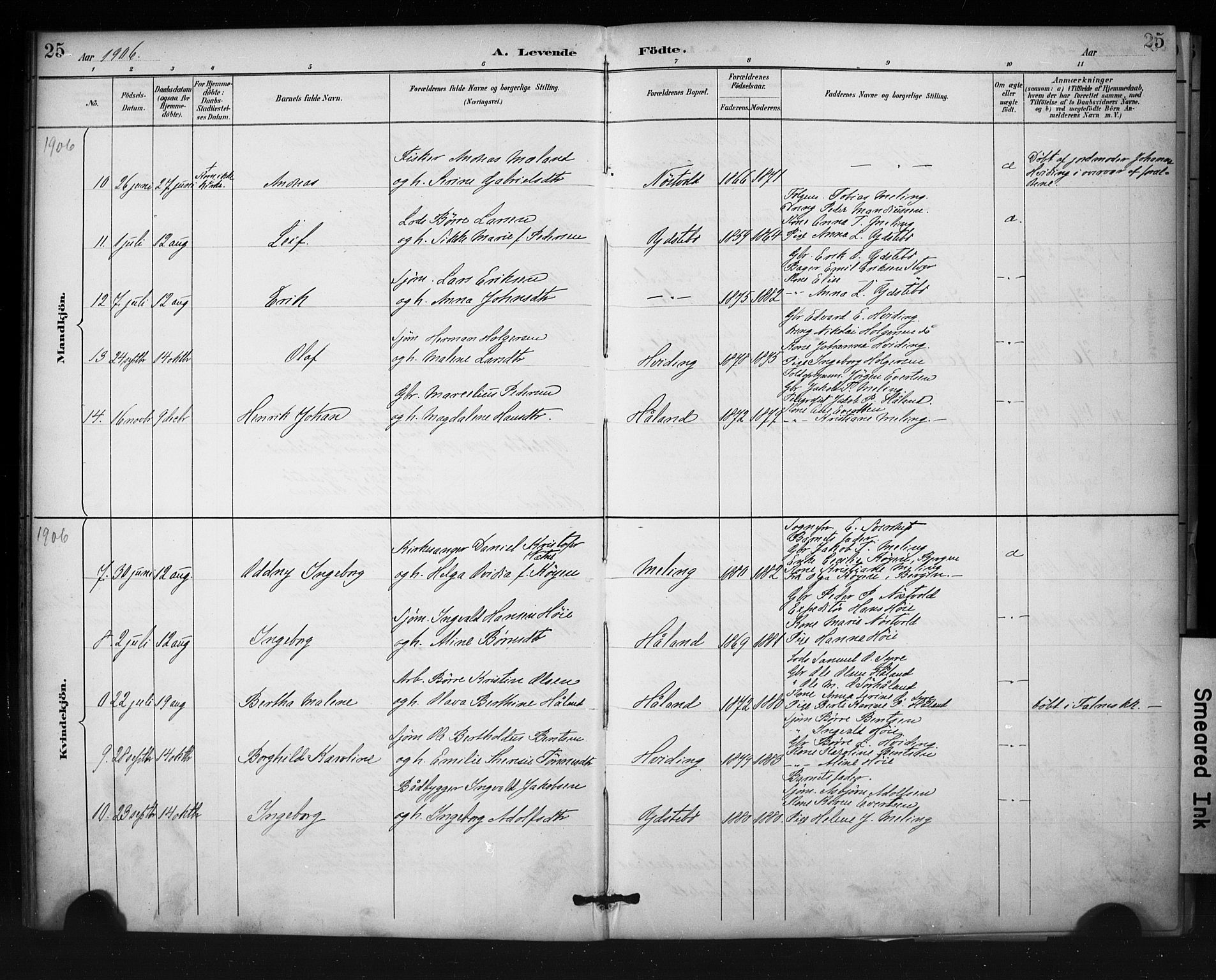 Rennesøy sokneprestkontor, AV/SAST-A -101827/H/Ha/Haa/L0013: Parish register (official) no. A 12, 1888-1916, p. 25