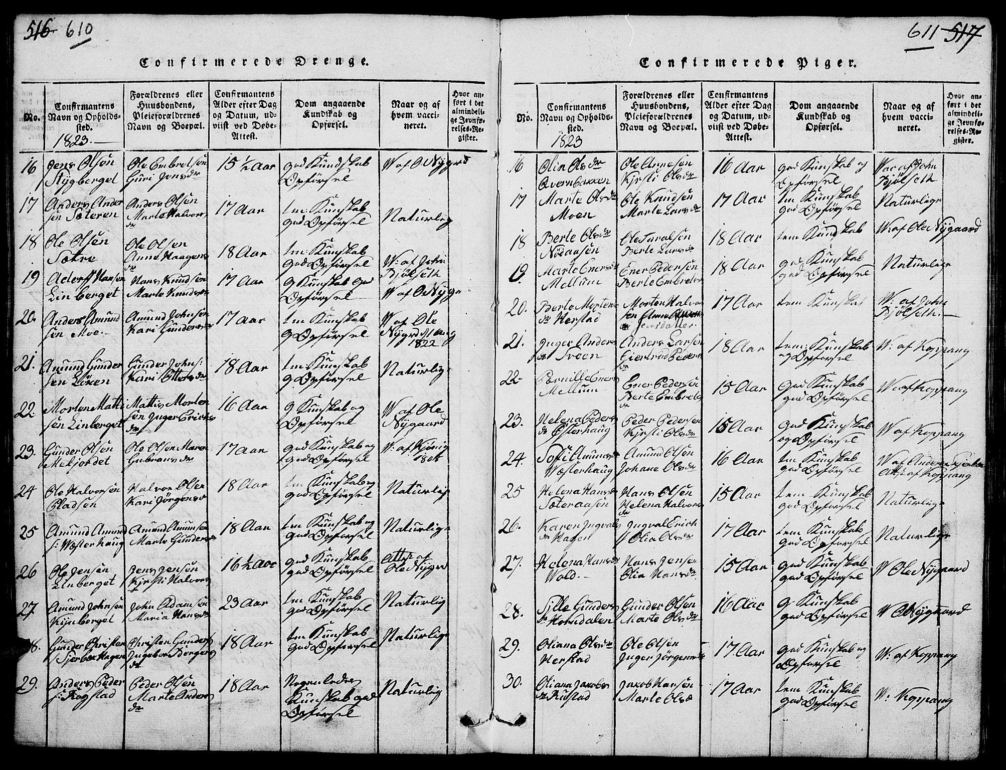 Elverum prestekontor, SAH/PREST-044/H/Ha/Hab/L0001: Parish register (copy) no. 1, 1815-1829, p. 610-611