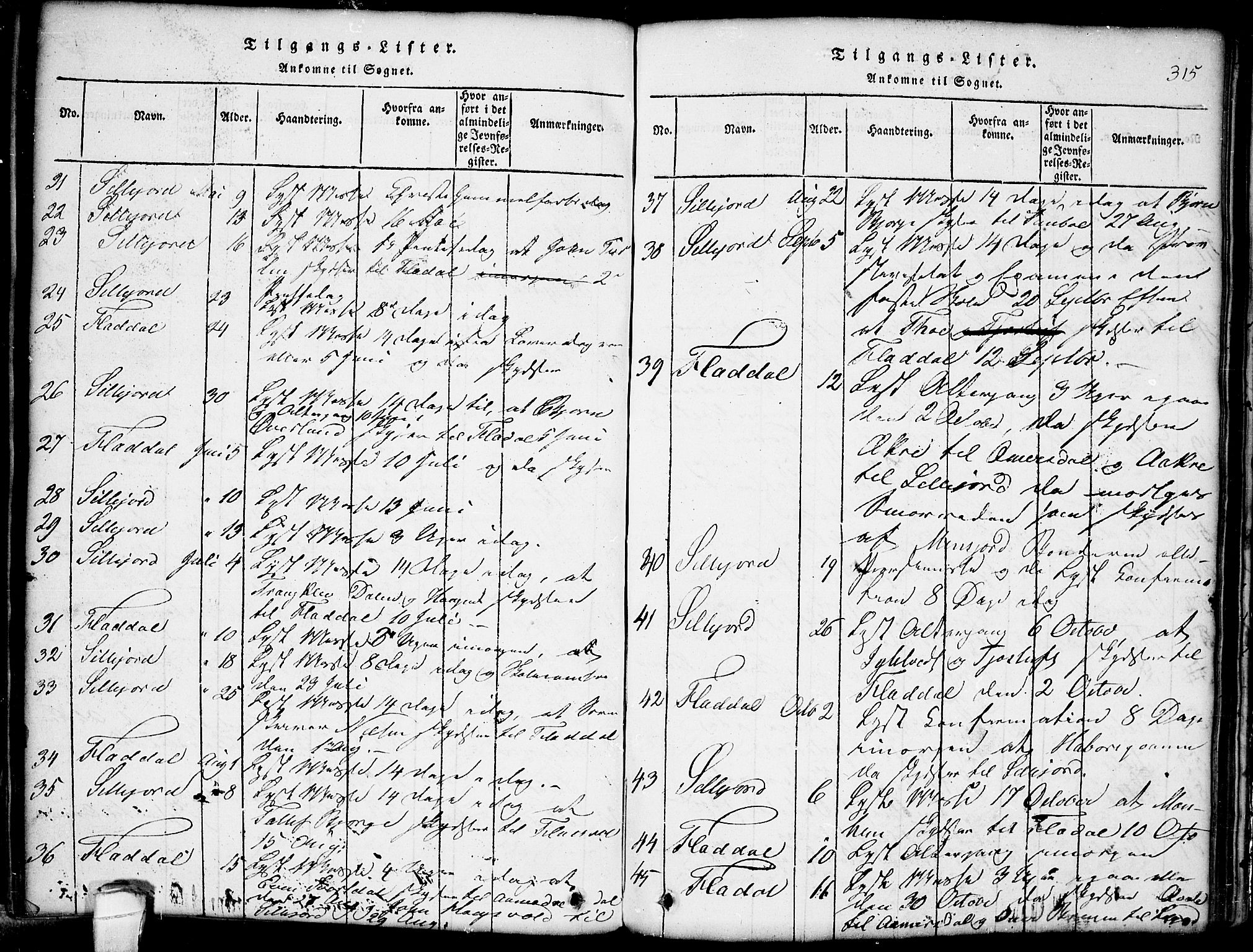 Seljord kirkebøker, SAKO/A-20/G/Gb/L0002: Parish register (copy) no. II 2, 1815-1854, p. 315