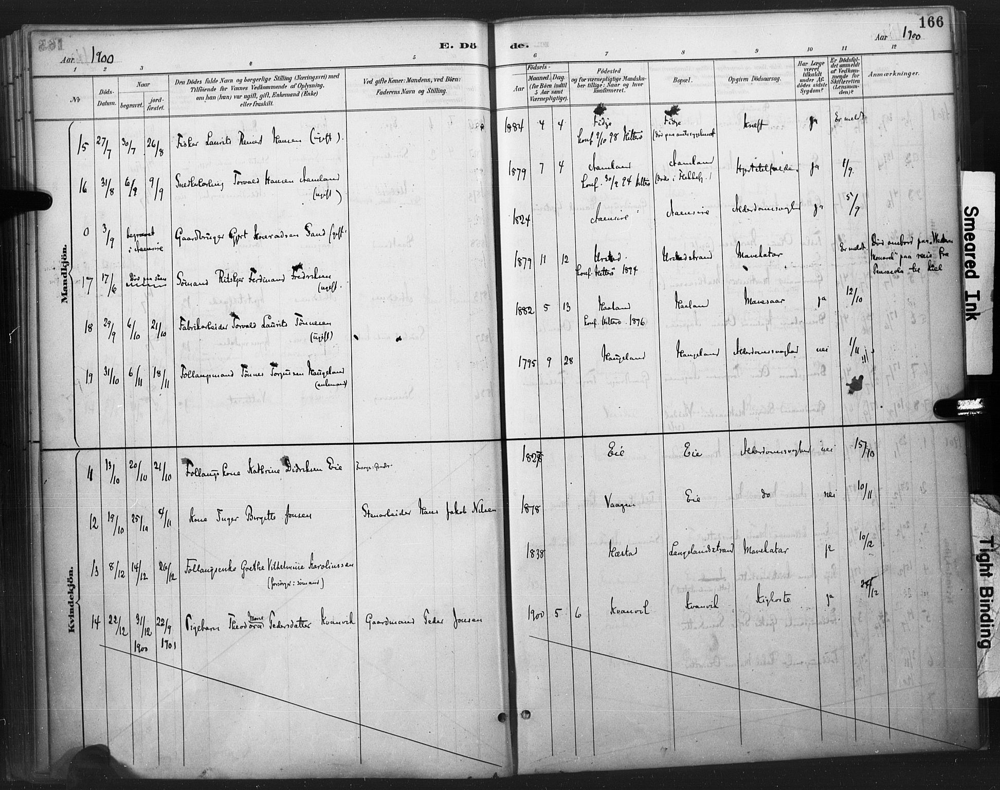 Flekkefjord sokneprestkontor, AV/SAK-1111-0012/F/Fa/Fab/L0006: Parish register (official) no. A 6, 1886-1901, p. 166