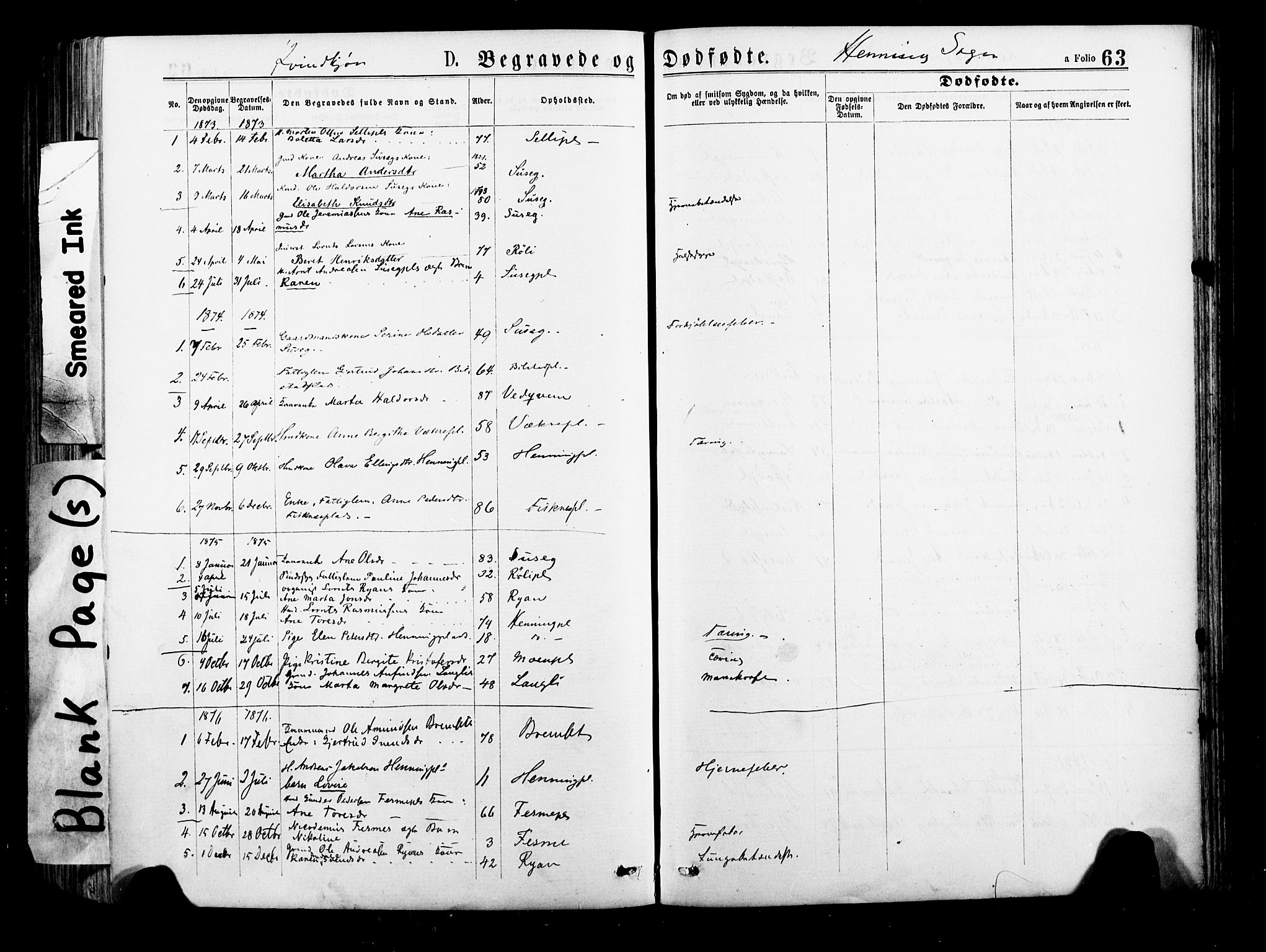 Ministerialprotokoller, klokkerbøker og fødselsregistre - Nord-Trøndelag, SAT/A-1458/735/L0348: Parish register (official) no. 735A09 /3, 1873-1883, p. 63