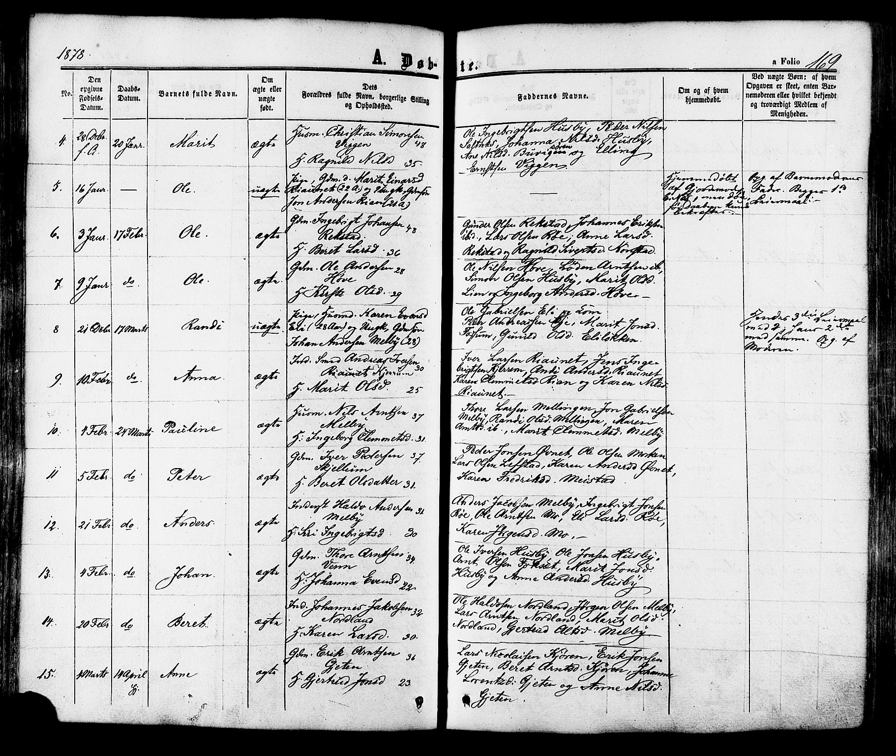 Ministerialprotokoller, klokkerbøker og fødselsregistre - Sør-Trøndelag, AV/SAT-A-1456/665/L0772: Parish register (official) no. 665A07, 1856-1878, p. 169