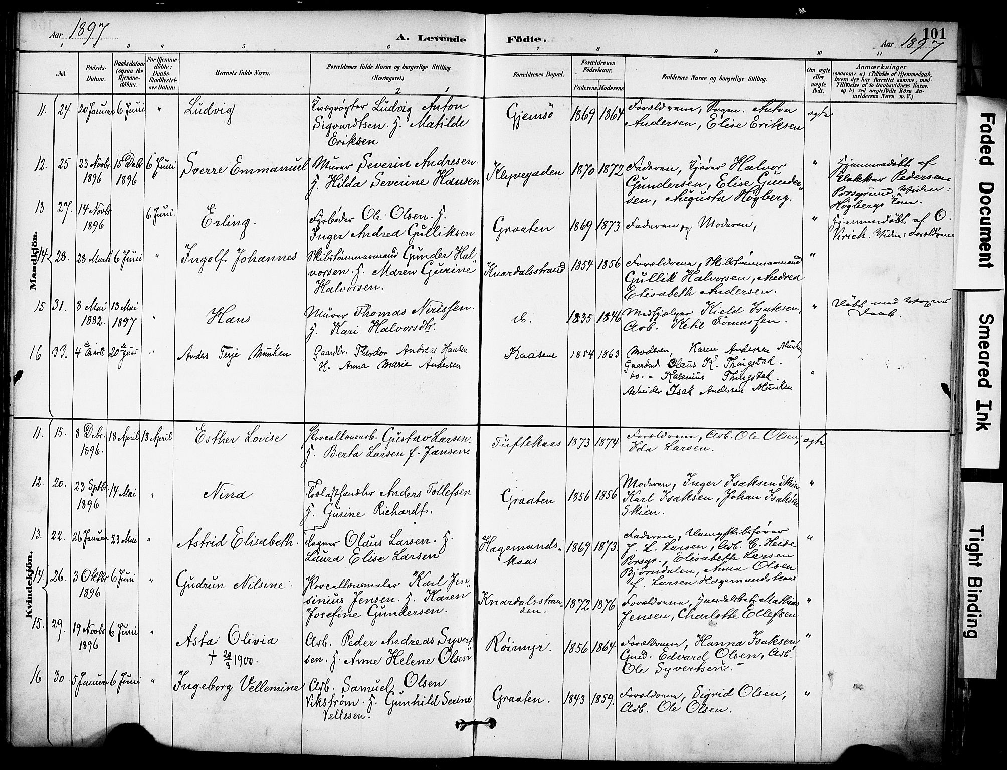 Solum kirkebøker, AV/SAKO-A-306/F/Fa/L0010: Parish register (official) no. I 10, 1888-1898, p. 101