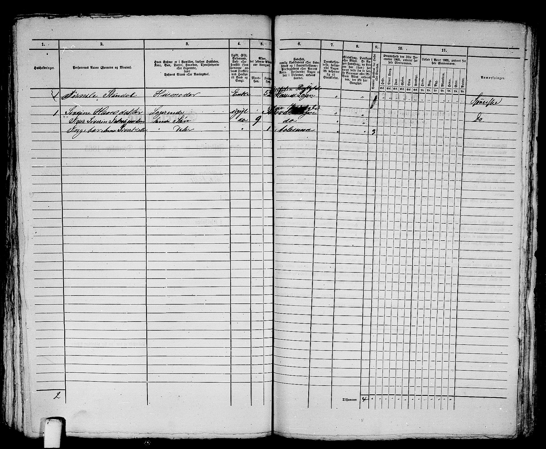 RA, 1865 census for Ålesund, 1865, p. 452