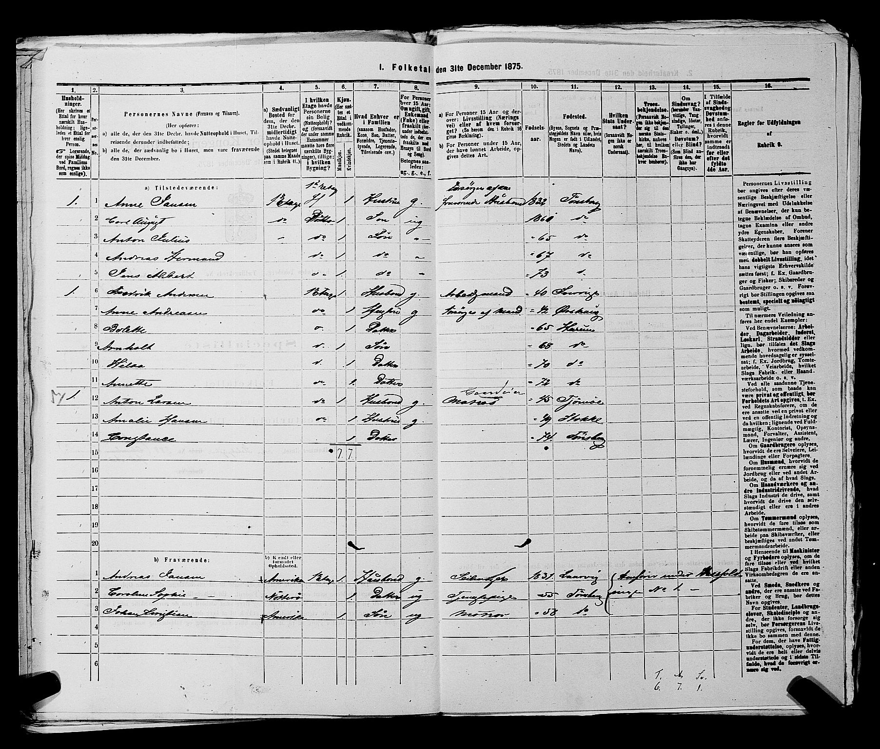 SAKO, 1875 census for 0705P Tønsberg, 1875, p. 366