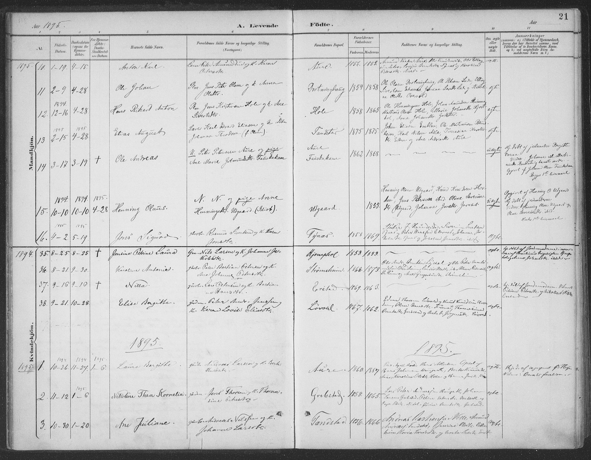 Ministerialprotokoller, klokkerbøker og fødselsregistre - Møre og Romsdal, SAT/A-1454/523/L0335: Parish register (official) no. 523A02, 1891-1911, p. 21