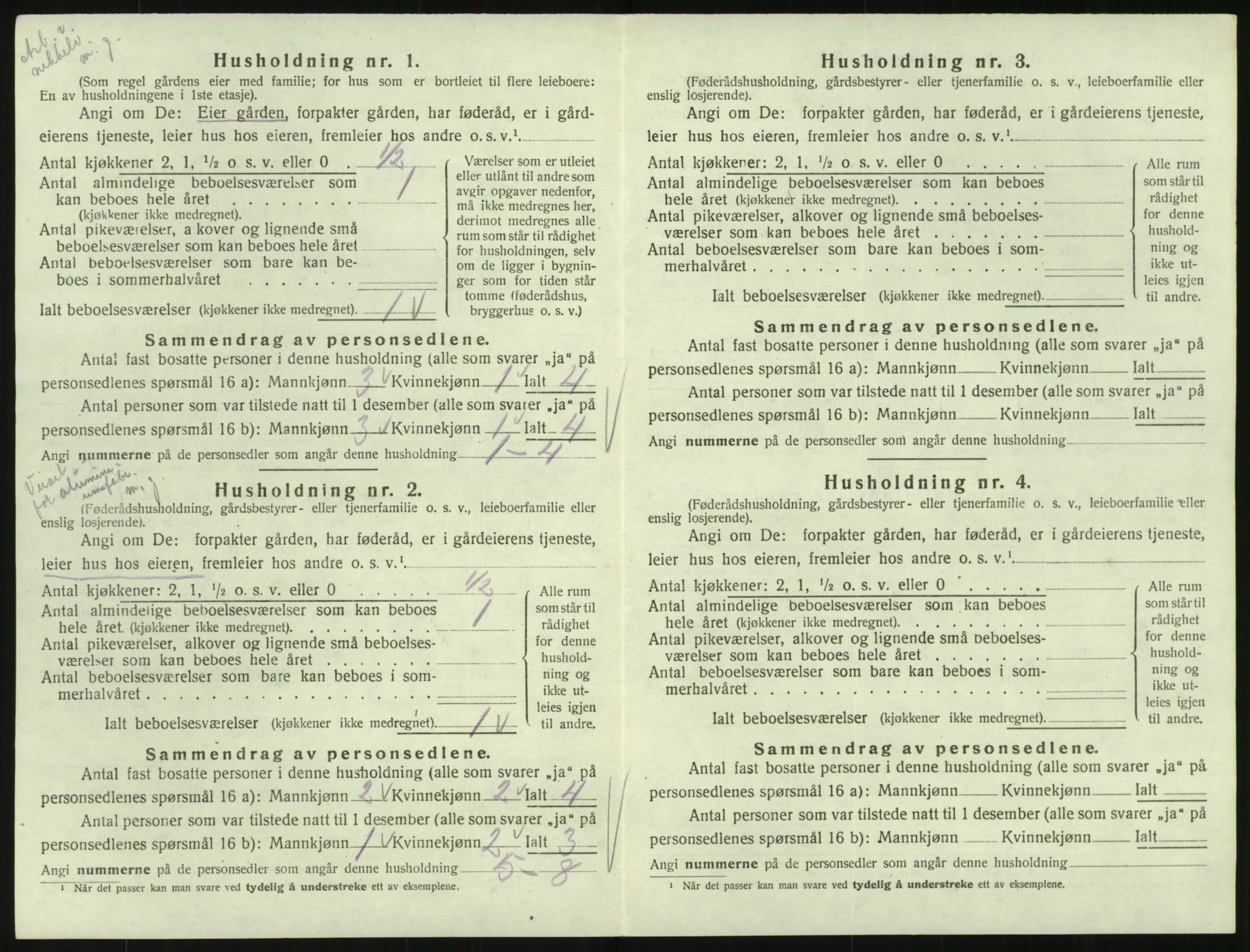 SAK, 1920 census for Hornnes, 1920, p. 162