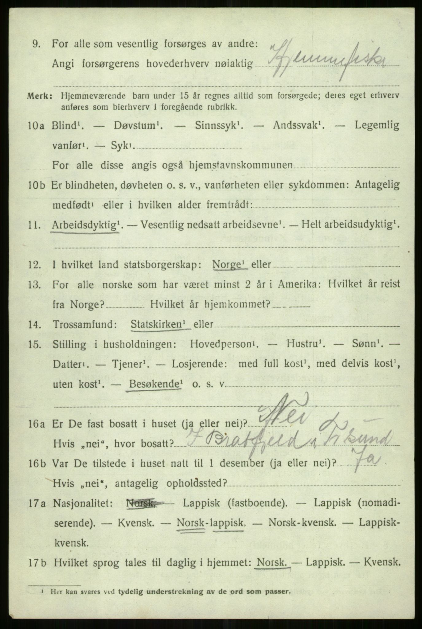 SATØ, 1920 census for Tromsøysund, 1920, p. 13227