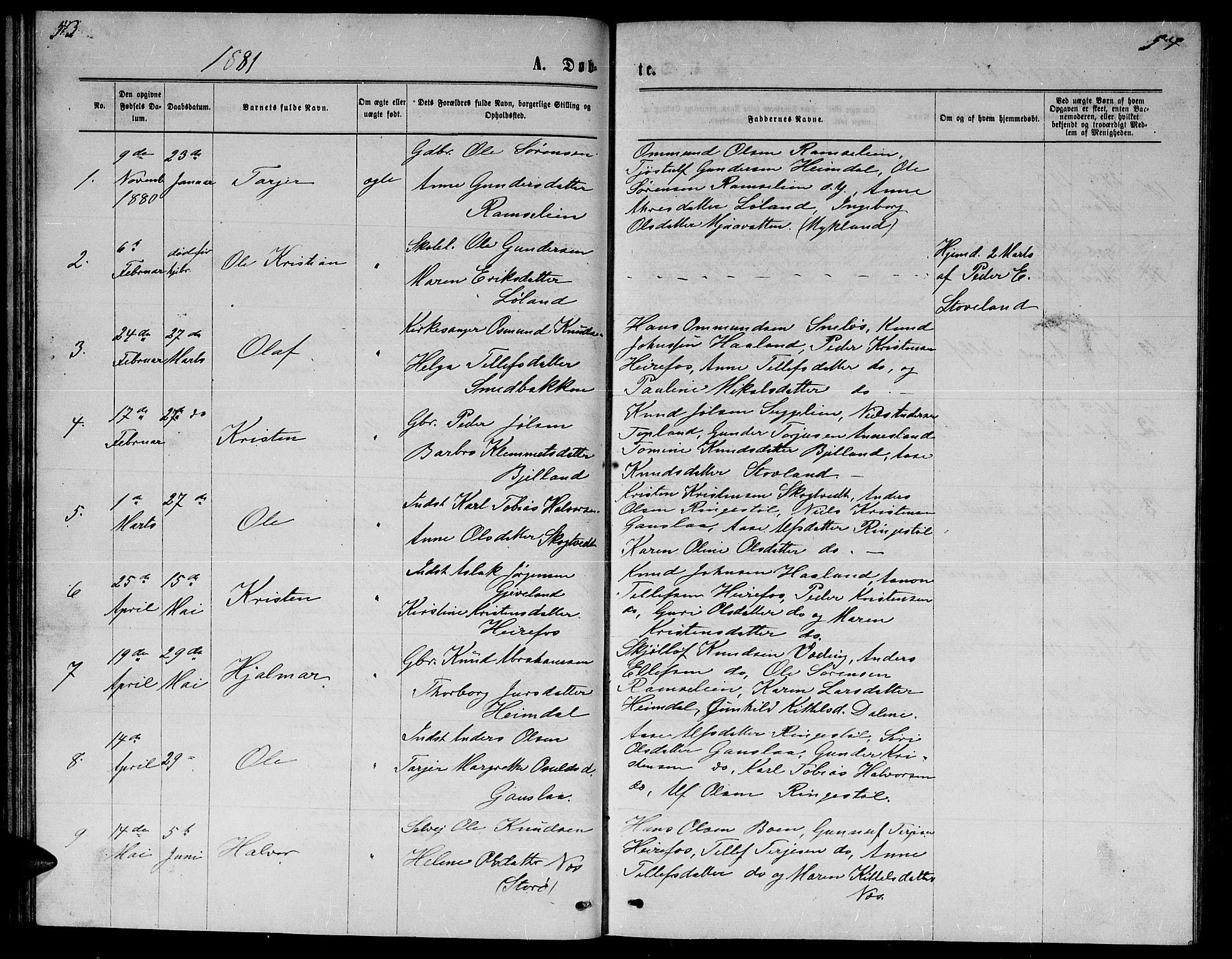 Herefoss sokneprestkontor, AV/SAK-1111-0019/F/Fb/Fba/L0002: Parish register (copy) no. B 2, 1868-1886, p. 53-54