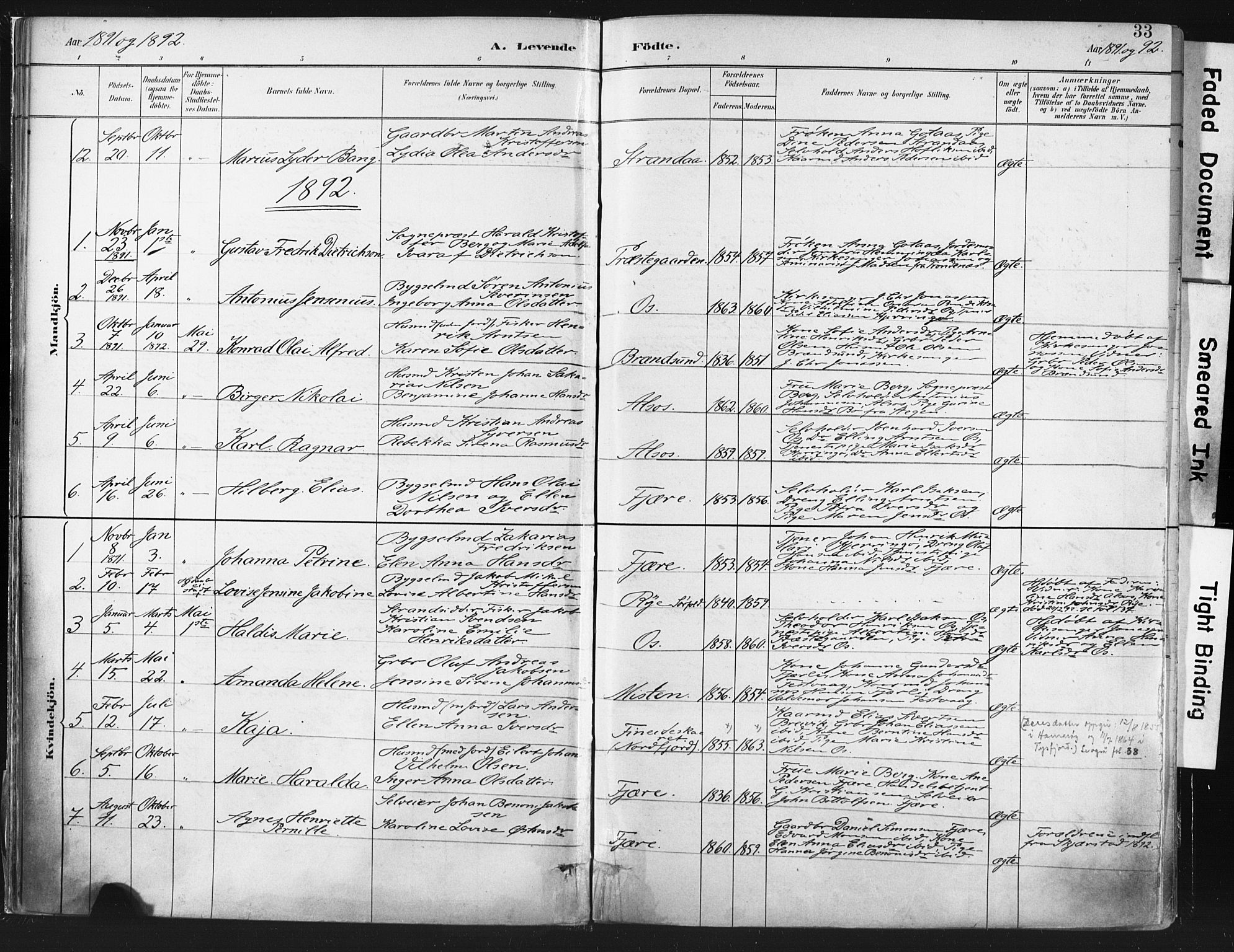 Ministerialprotokoller, klokkerbøker og fødselsregistre - Nordland, AV/SAT-A-1459/803/L0071: Parish register (official) no. 803A01, 1881-1897, p. 33