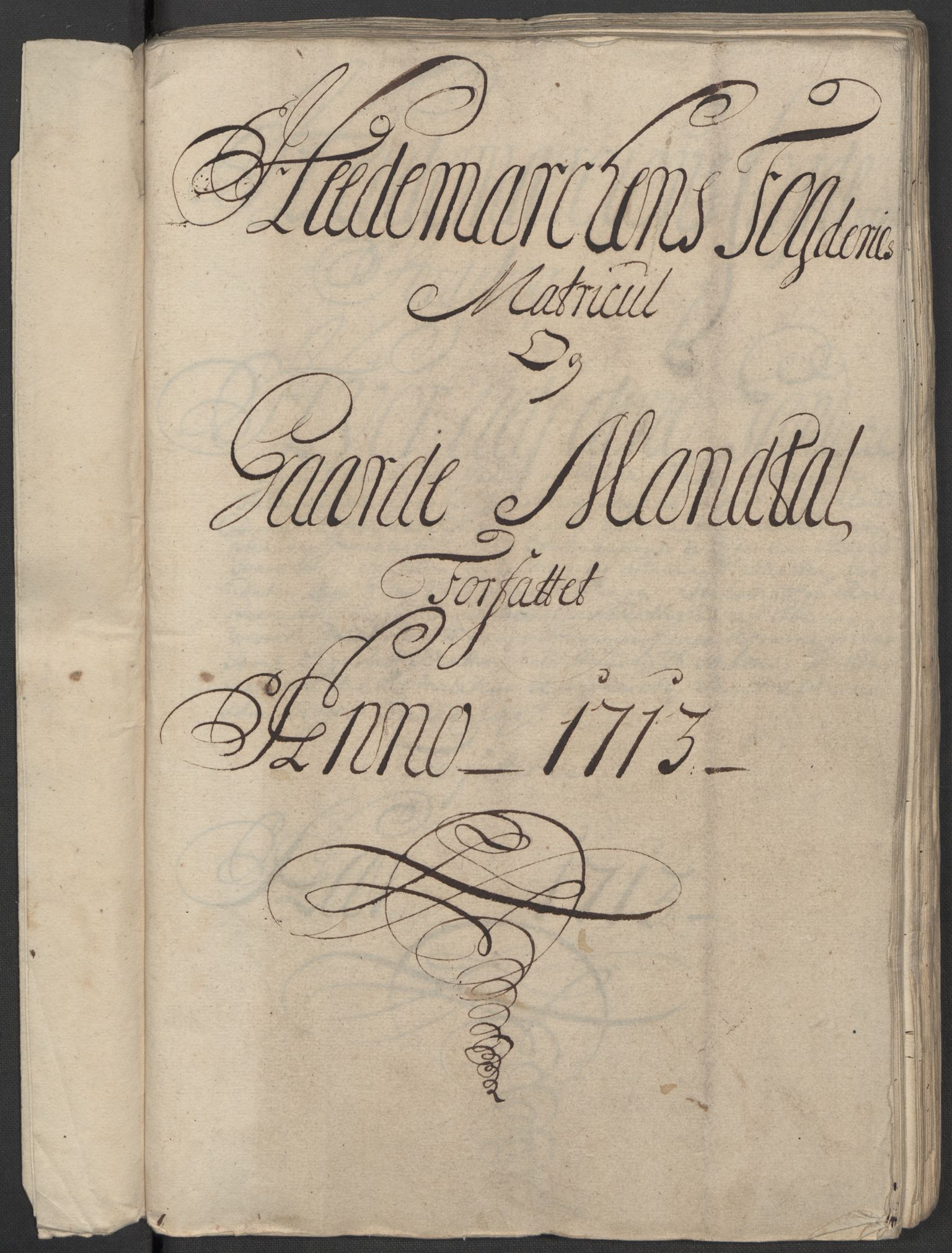 Rentekammeret inntil 1814, Reviderte regnskaper, Fogderegnskap, RA/EA-4092/R16/L1050: Fogderegnskap Hedmark, 1713, p. 18