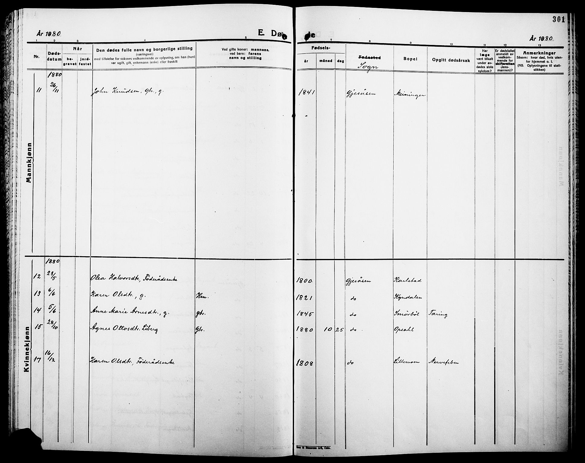 Åsnes prestekontor, AV/SAH-PREST-042/H/Ha/Haa/L0000B: Parish register (official), 1870-1889, p. 301