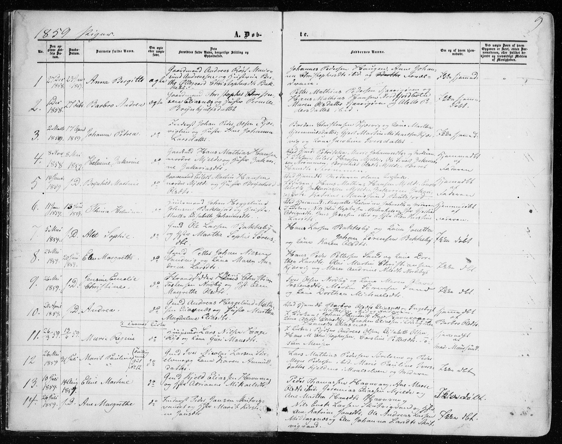 Balsfjord sokneprestembete, SATØ/S-1303/G/Ga/L0001kirke: Parish register (official) no. 1, 1858-1870, p. 9