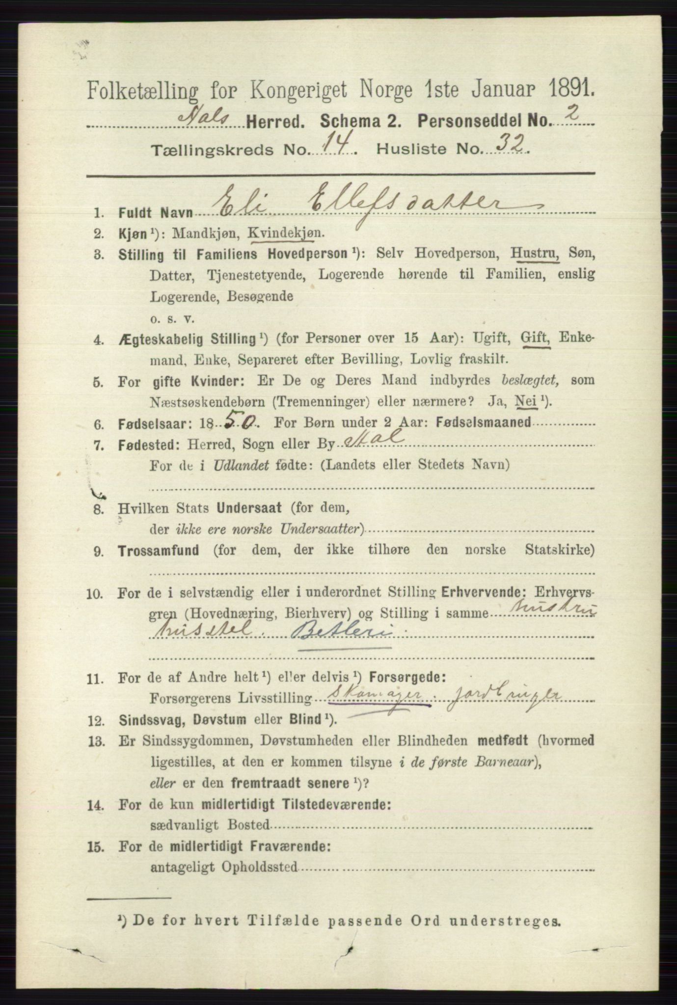 RA, 1891 census for 0619 Ål, 1891, p. 3697