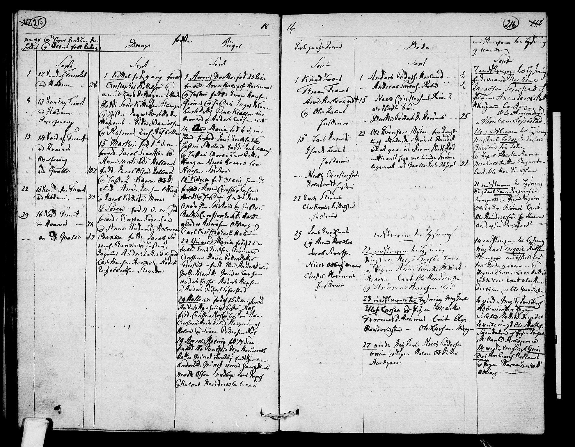 Hedrum kirkebøker, AV/SAKO-A-344/F/Fa/L0003: Parish register (official) no. I 3, 1807-1816, p. 215-216