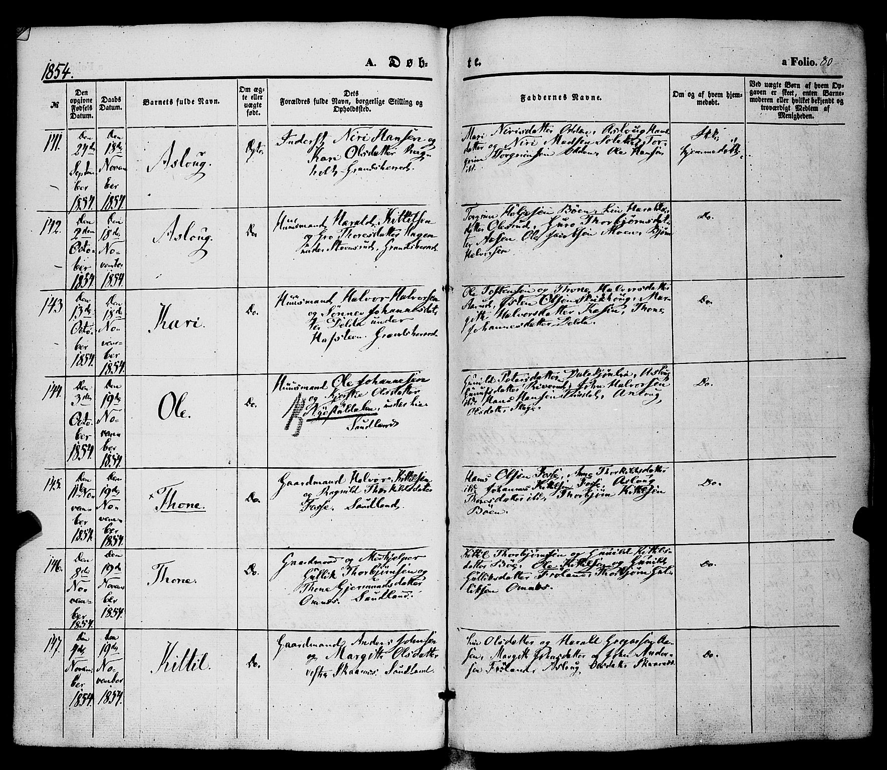 Hjartdal kirkebøker, AV/SAKO-A-270/F/Fa/L0008: Parish register (official) no. I 8, 1844-1859, p. 80