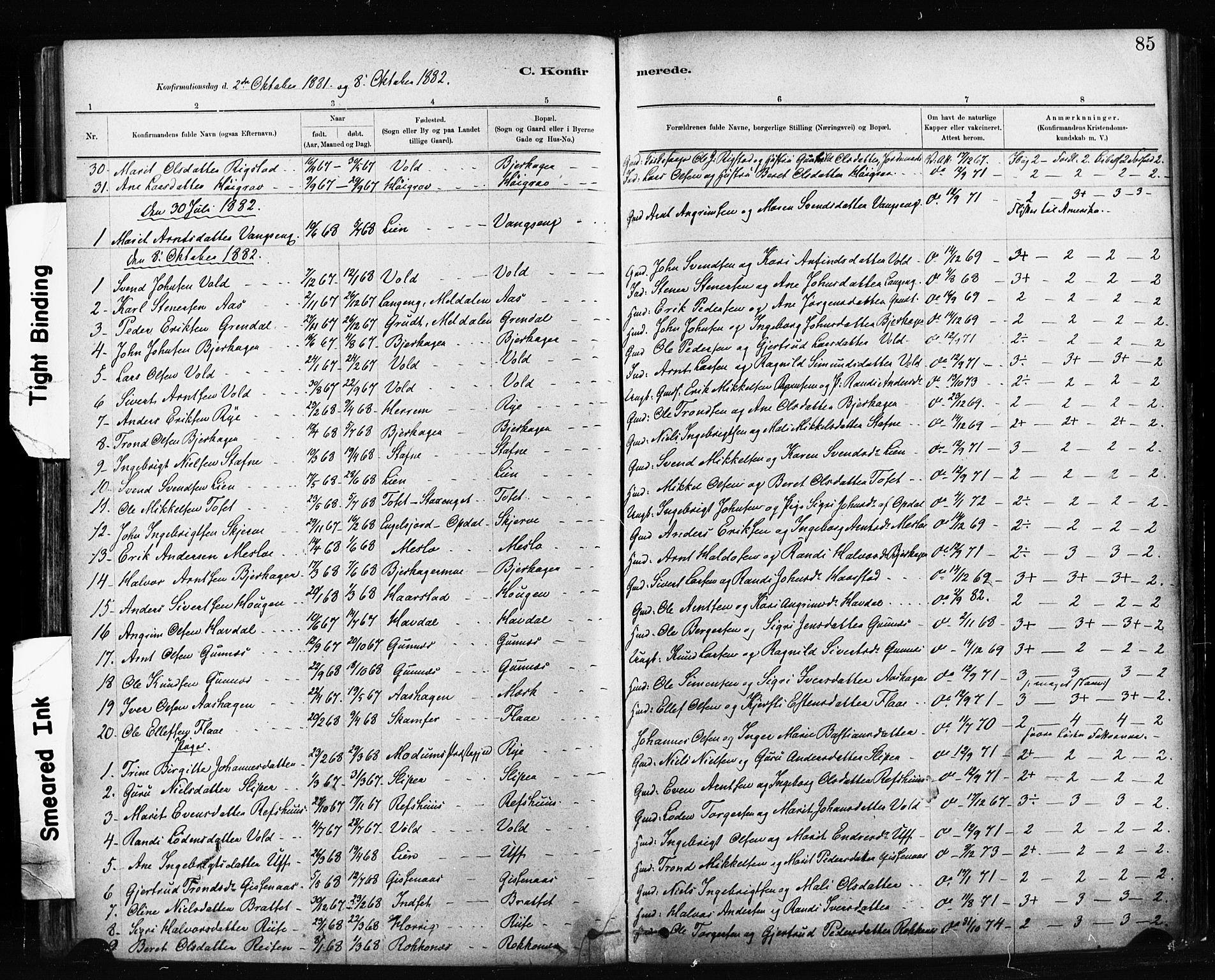 Ministerialprotokoller, klokkerbøker og fødselsregistre - Sør-Trøndelag, SAT/A-1456/674/L0871: Parish register (official) no. 674A03, 1880-1896, p. 85