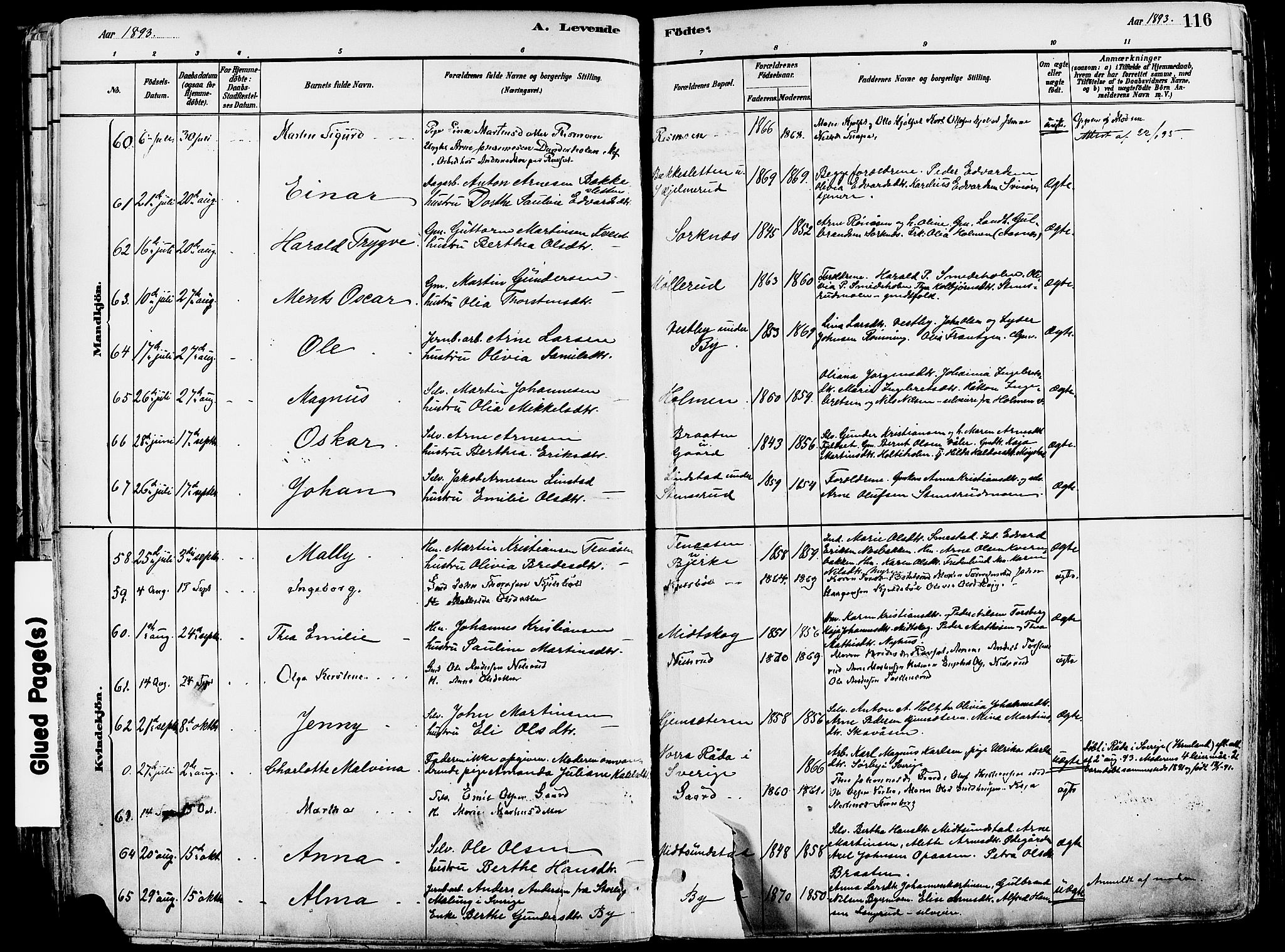 Grue prestekontor, AV/SAH-PREST-036/H/Ha/Haa/L0012: Parish register (official) no. 12, 1881-1897, p. 116