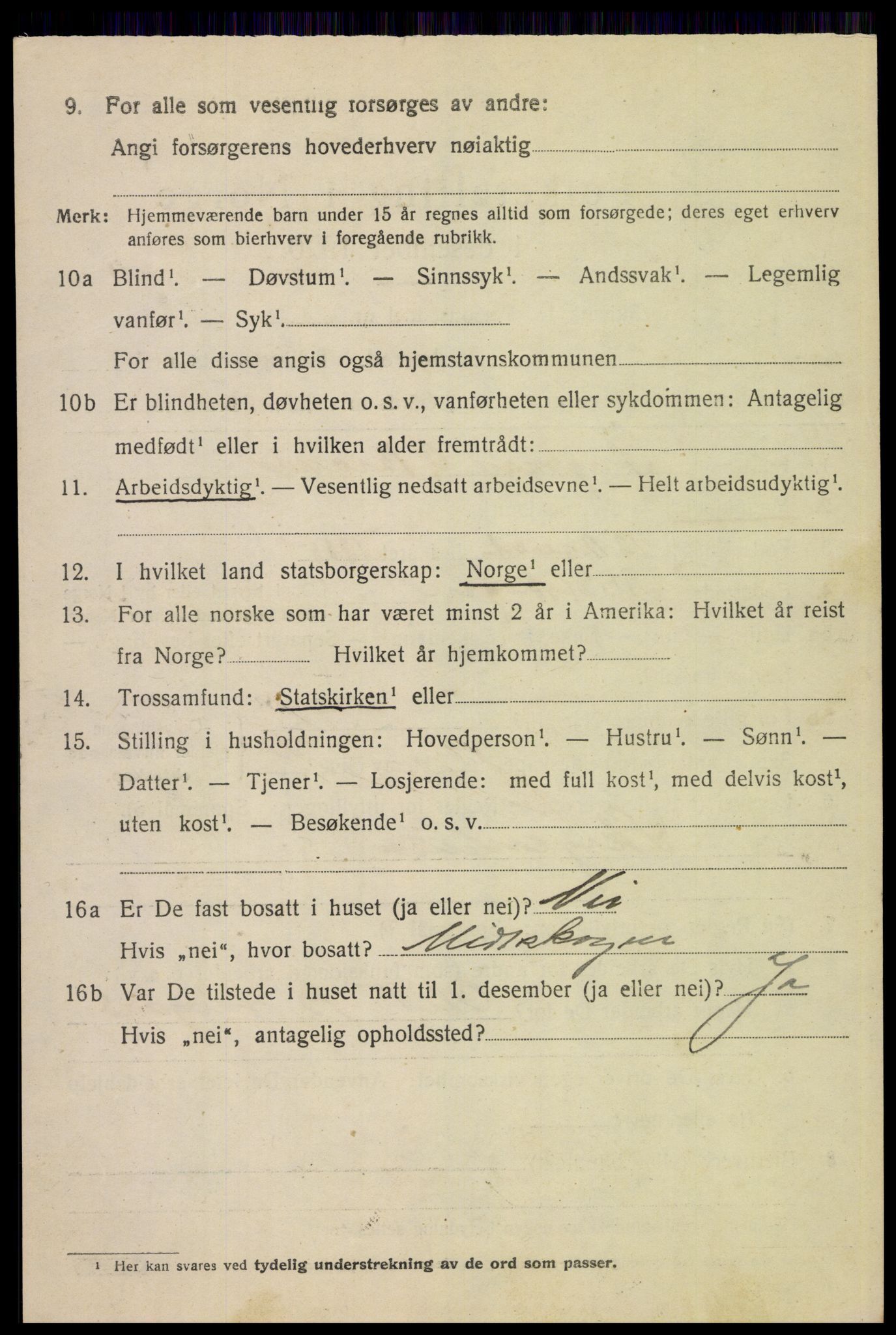 SAH, 1920 census for Alvdal, 1920, p. 3971