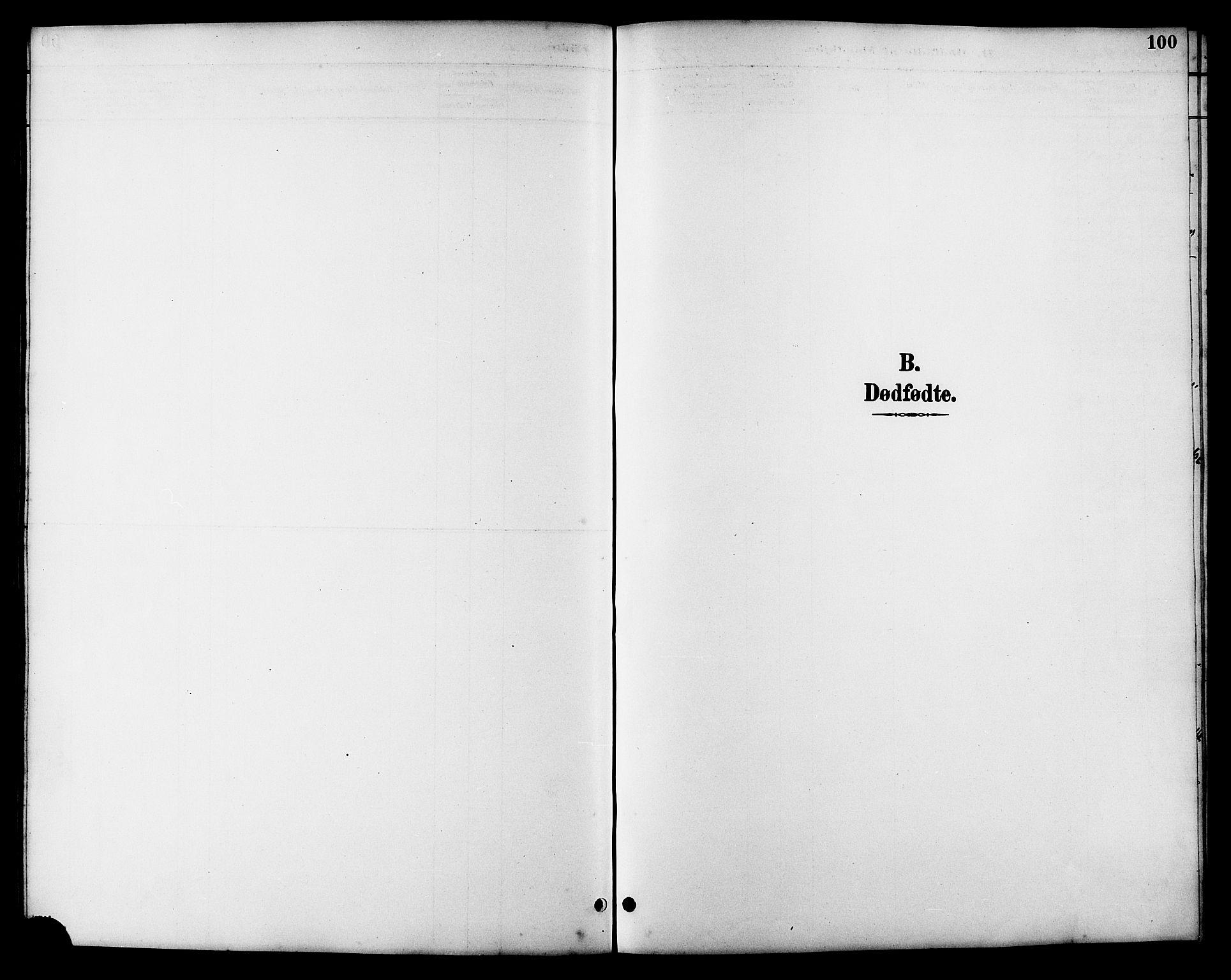 Ministerialprotokoller, klokkerbøker og fødselsregistre - Sør-Trøndelag, AV/SAT-A-1456/657/L0716: Parish register (copy) no. 657C03, 1889-1904, p. 100