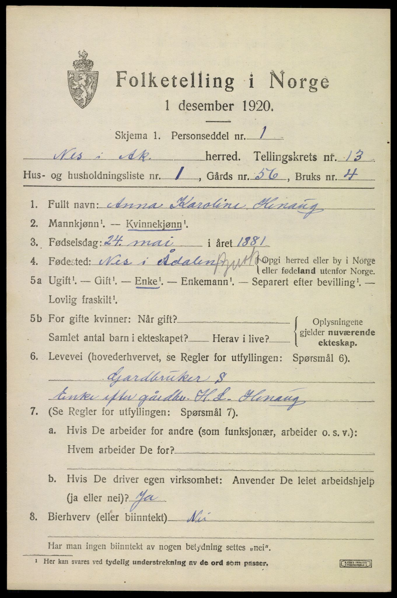 SAO, 1920 census for Nes, 1920, p. 13424