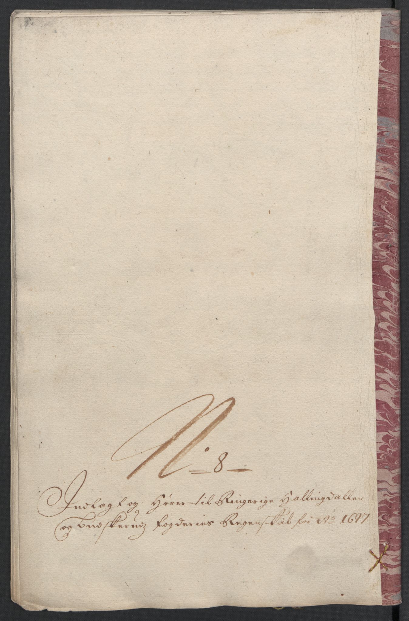 Rentekammeret inntil 1814, Reviderte regnskaper, Fogderegnskap, AV/RA-EA-4092/R22/L1454: Fogderegnskap Ringerike, Hallingdal og Buskerud, 1697, p. 311