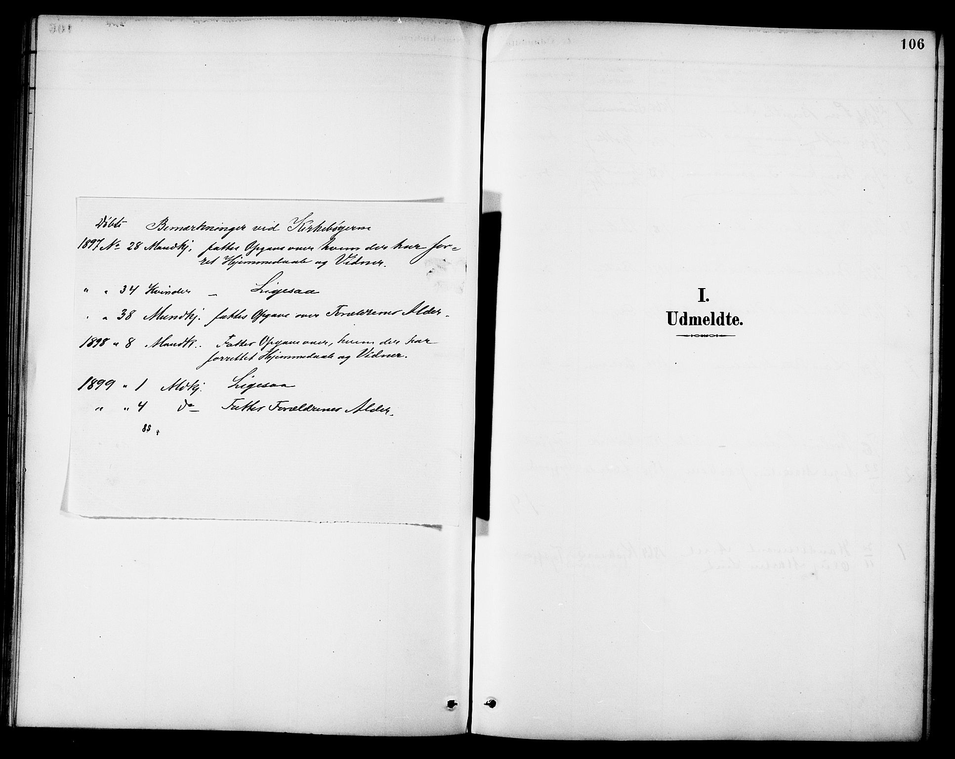 Ministerialprotokoller, klokkerbøker og fødselsregistre - Nordland, SAT/A-1459/861/L0870: Parish register (official) no. 861A05, 1889-1903, p. 106