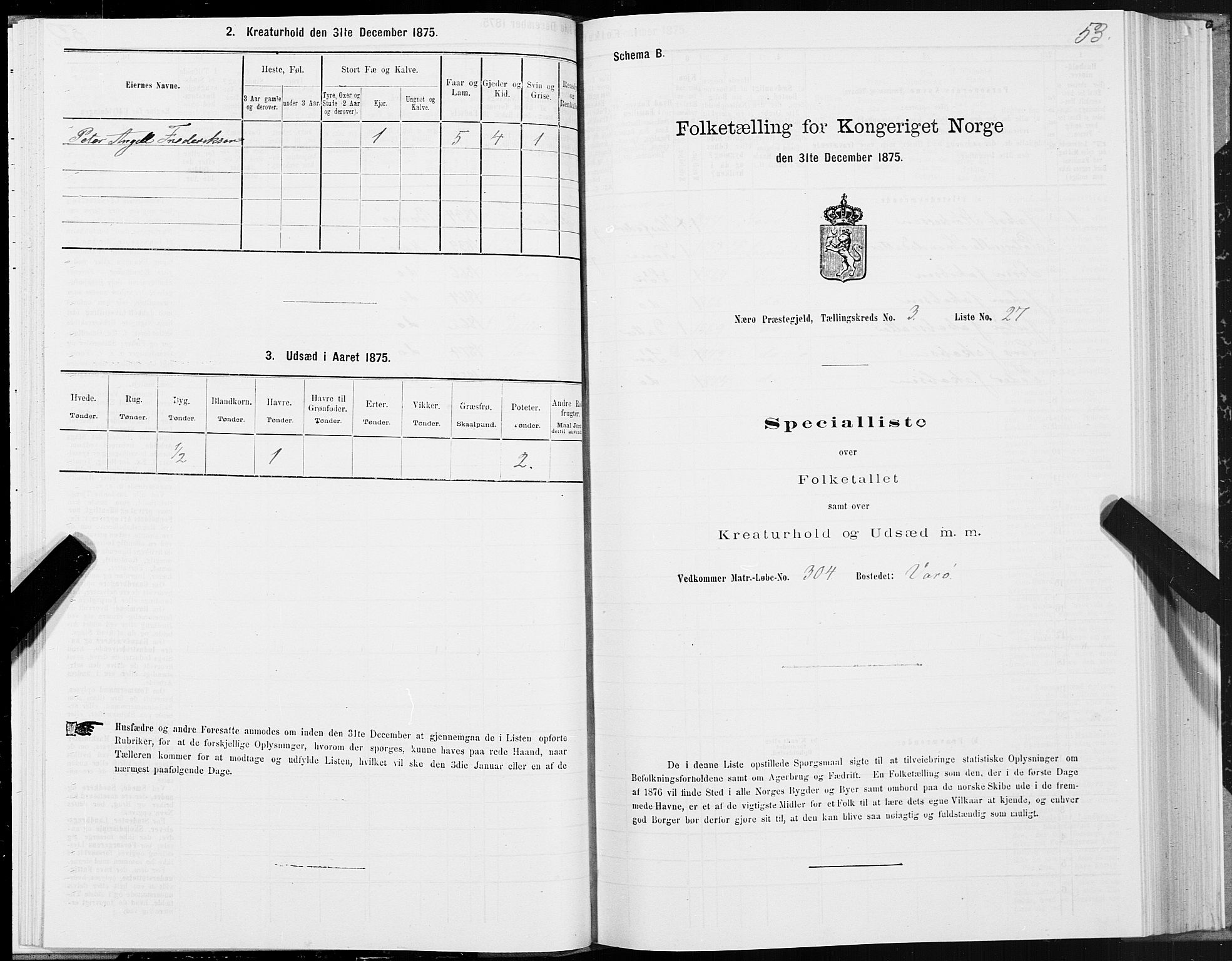 SAT, 1875 census for 1751P Nærøy, 1875, p. 2053