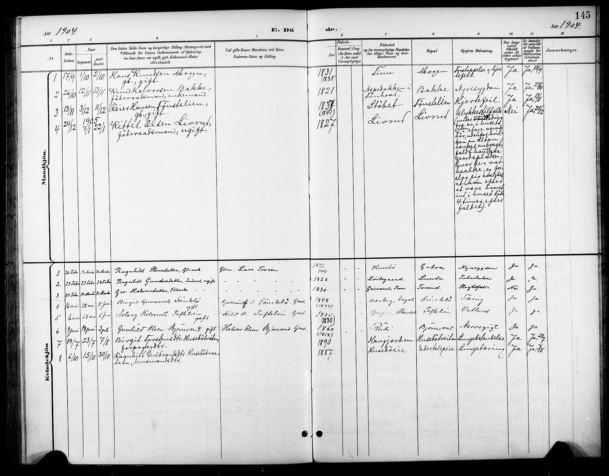 Nore kirkebøker, SAKO/A-238/F/Fc/L0005: Parish register (official) no. III 5, 1898-1922, p. 145