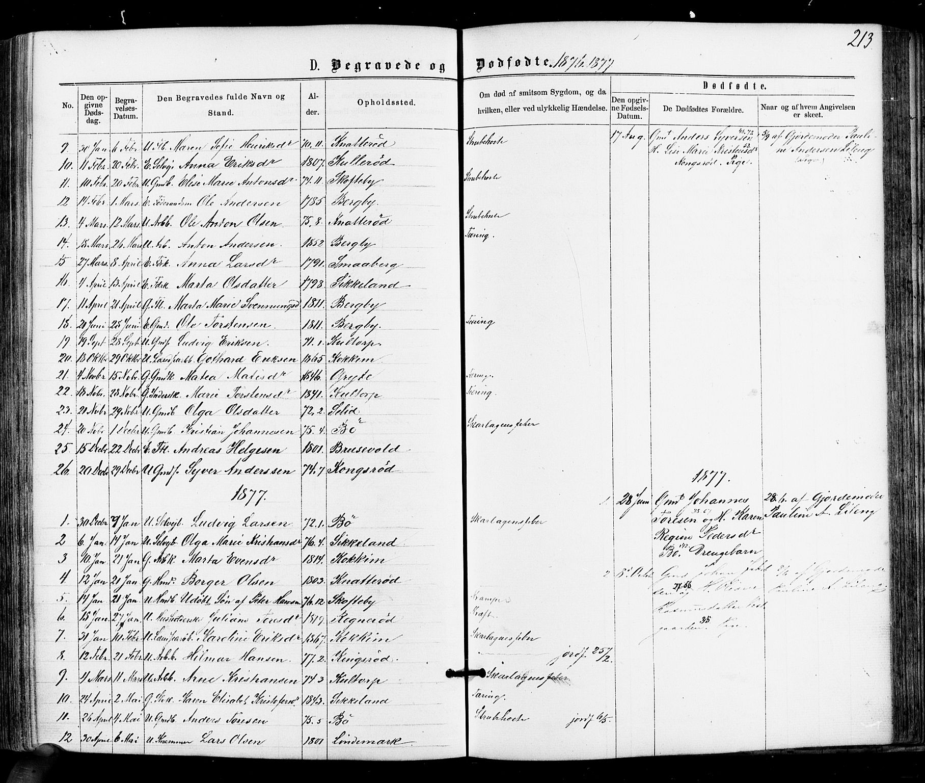 Varteig prestekontor Kirkebøker, SAO/A-10447a/F/Fa/L0001: Parish register (official) no. 1, 1861-1877, p. 213