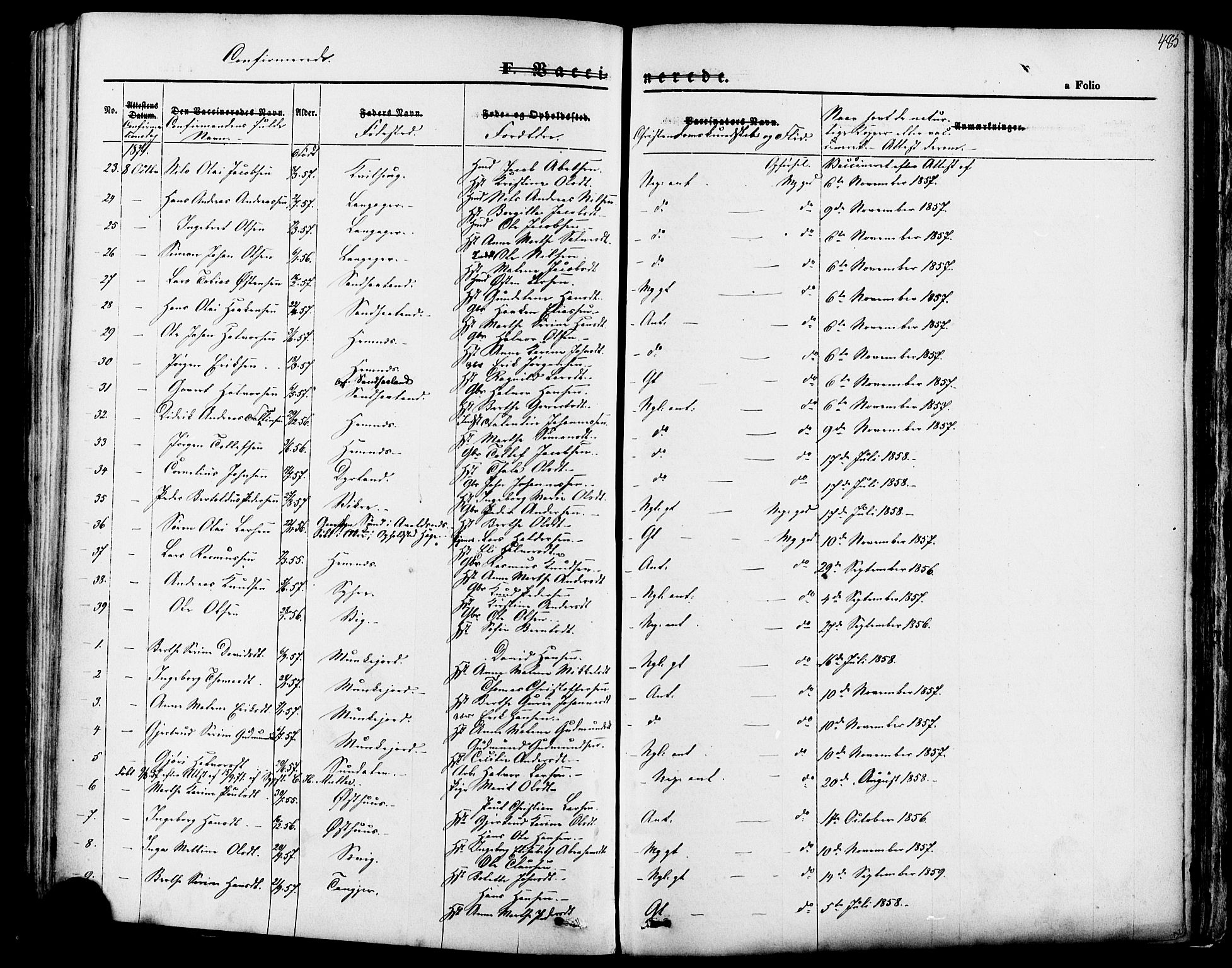 Skudenes sokneprestkontor, SAST/A -101849/H/Ha/Haa/L0006: Parish register (official) no. A 4, 1864-1881, p. 485