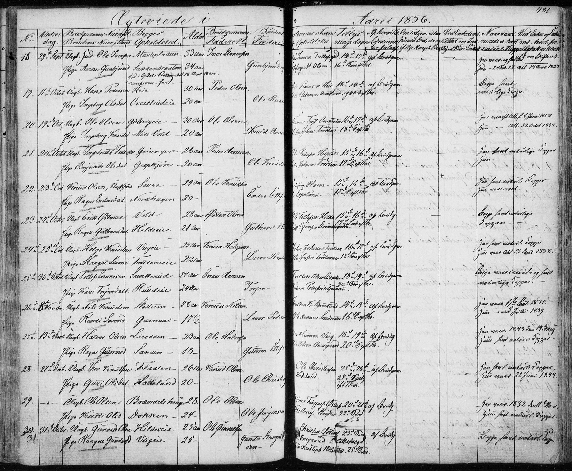 Nes kirkebøker, AV/SAKO-A-236/F/Fa/L0009: Parish register (official) no. 9, 1834-1863, p. 481