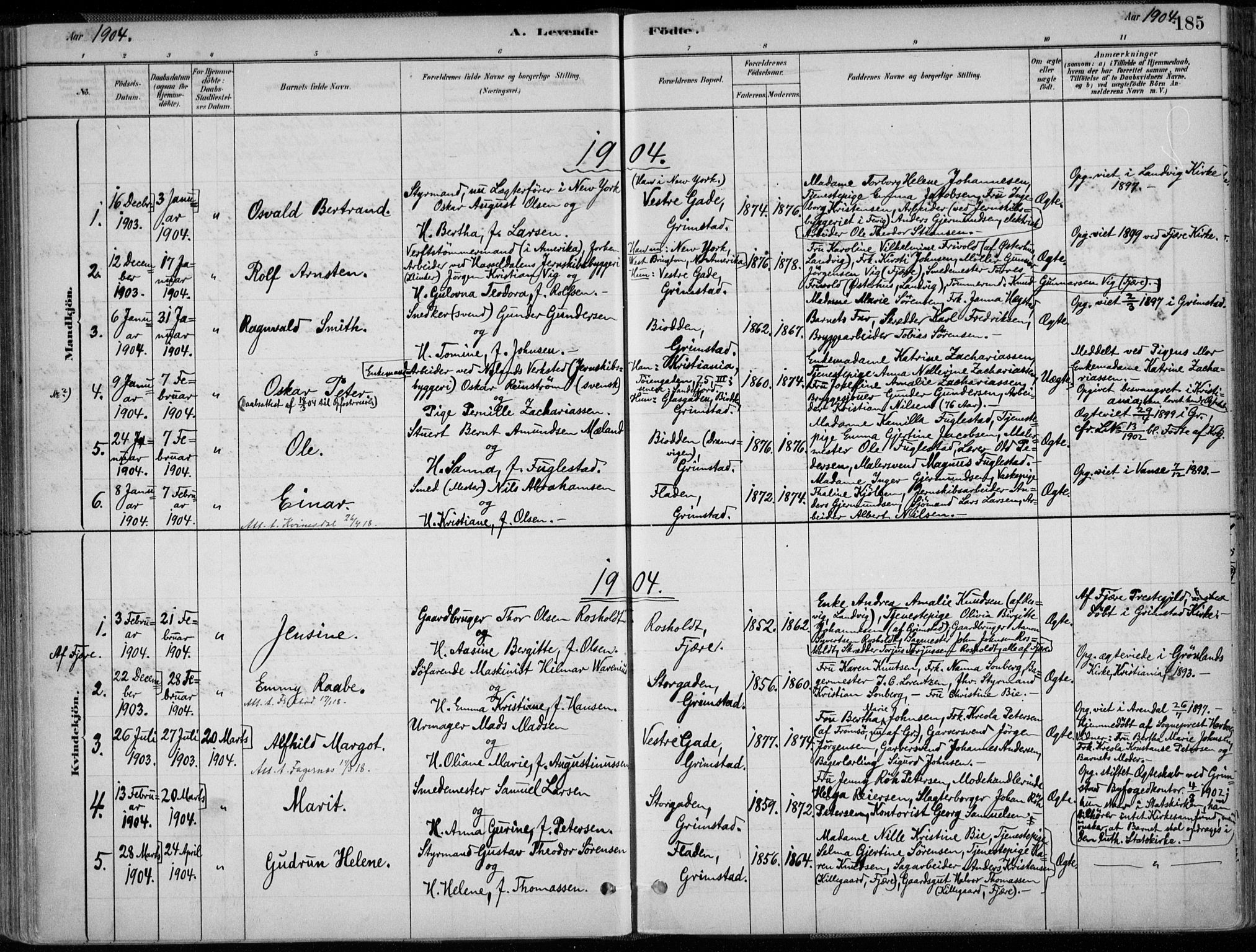 Grimstad sokneprestkontor, SAK/1111-0017/F/Fa/L0003: Parish register (official) no. A 2, 1882-1912, p. 185