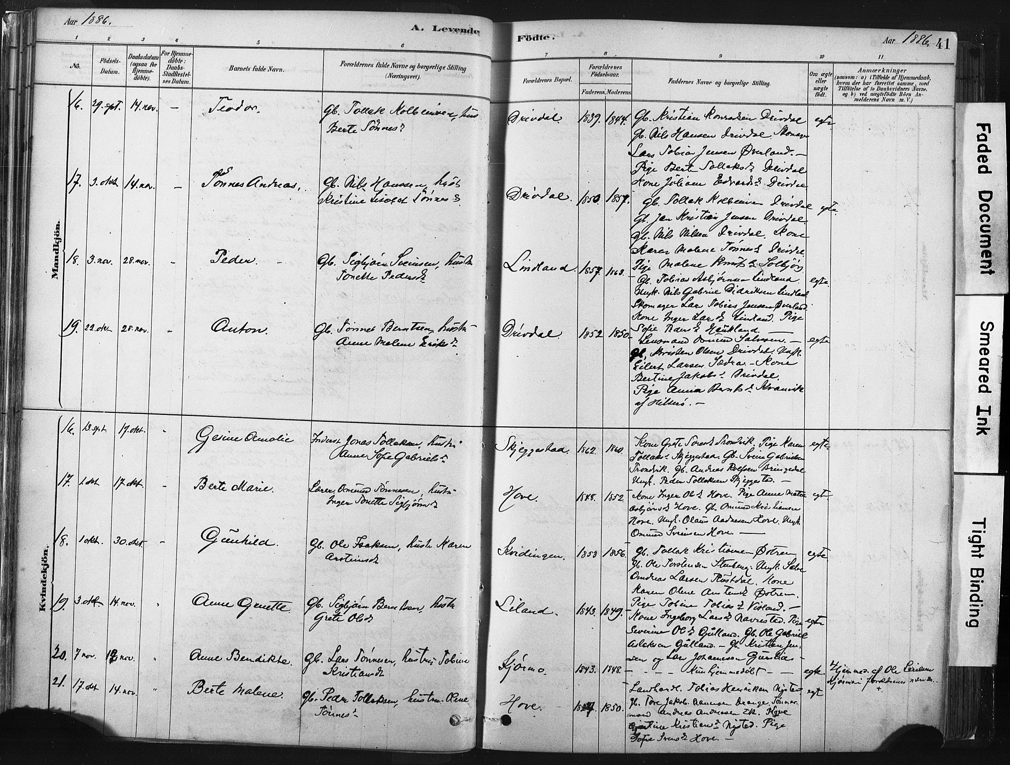 Lund sokneprestkontor, AV/SAST-A-101809/S06/L0011: Parish register (official) no. A 10, 1877-1904, p. 41