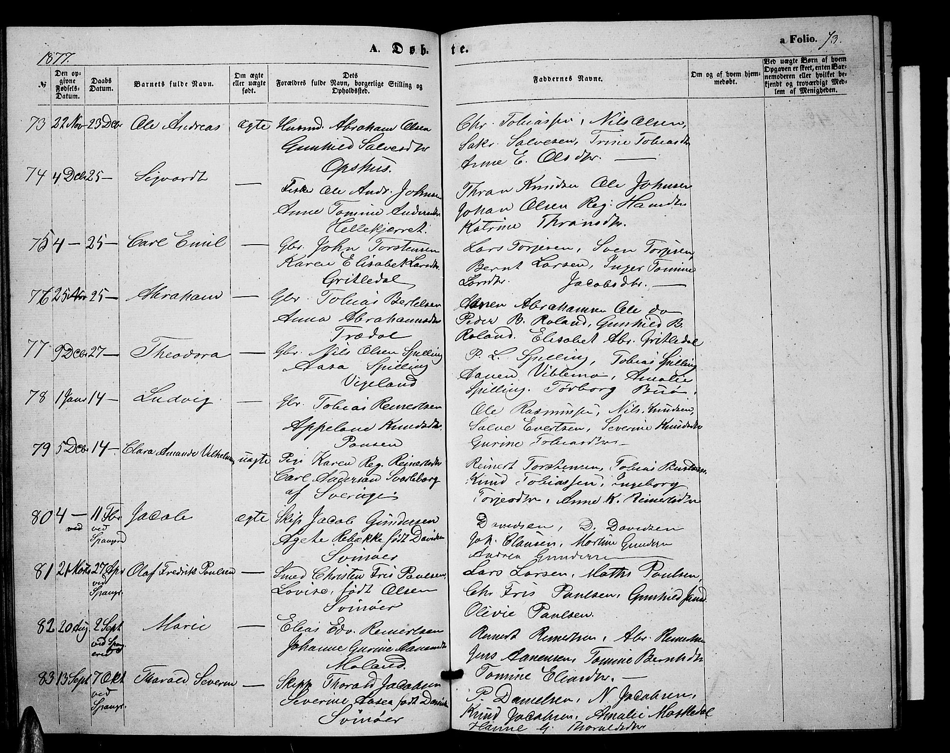 Sør-Audnedal sokneprestkontor, SAK/1111-0039/F/Fb/Fbb/L0004: Parish register (copy) no. B 4, 1868-1879, p. 73