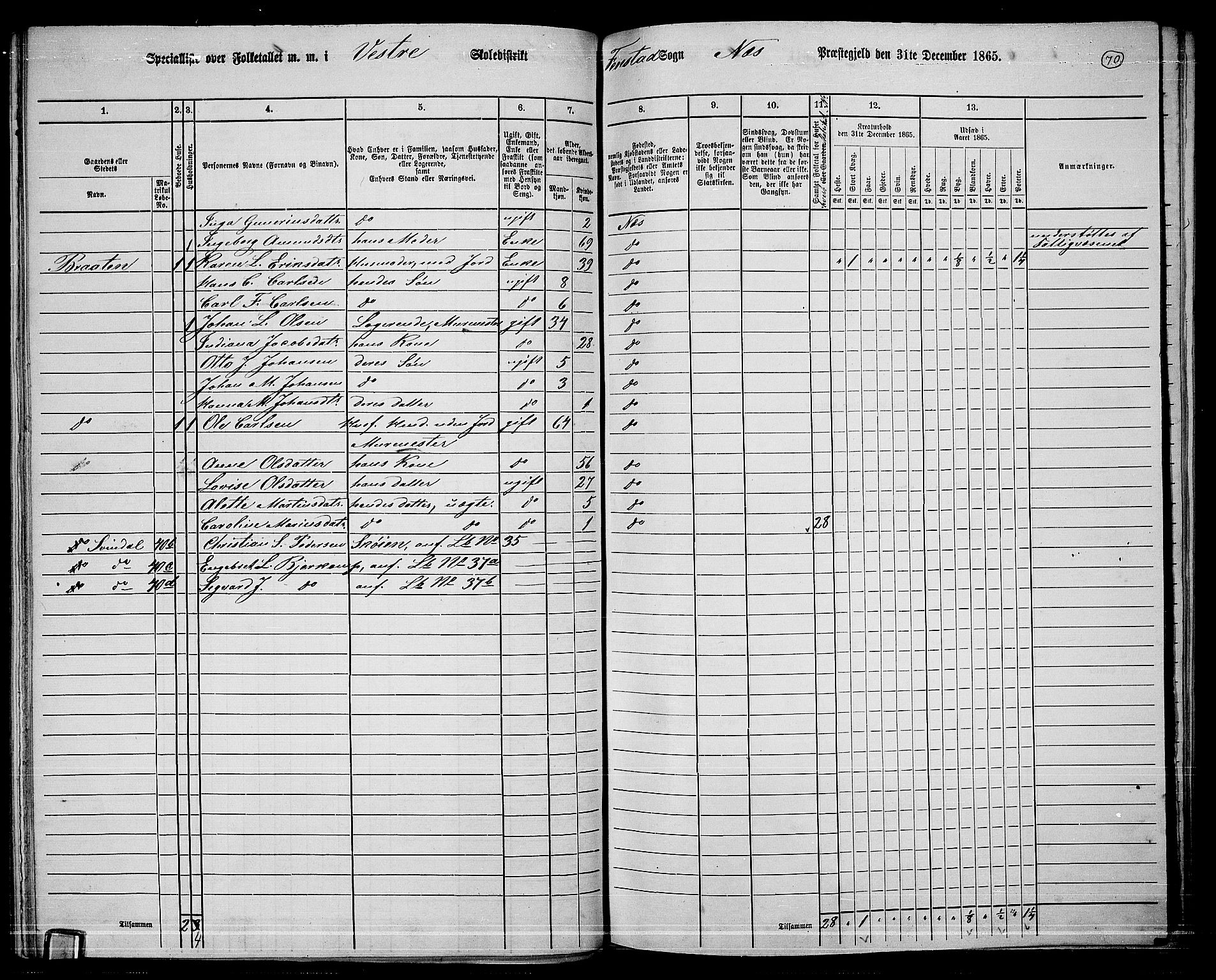 RA, 1865 census for Nes, 1865, p. 63