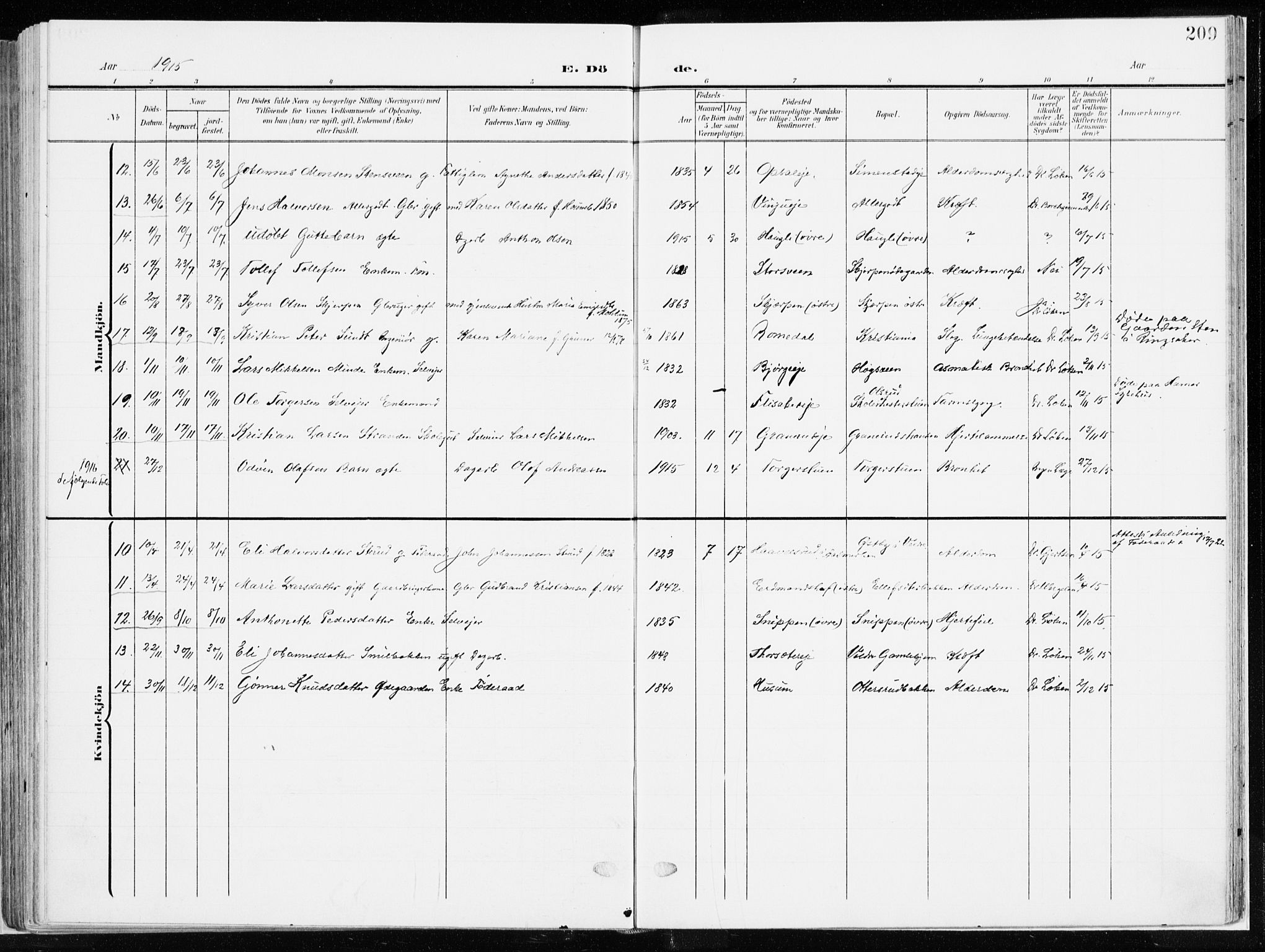 Ringsaker prestekontor, SAH/PREST-014/K/Ka/L0019: Parish register (official) no. 19, 1905-1920, p. 209