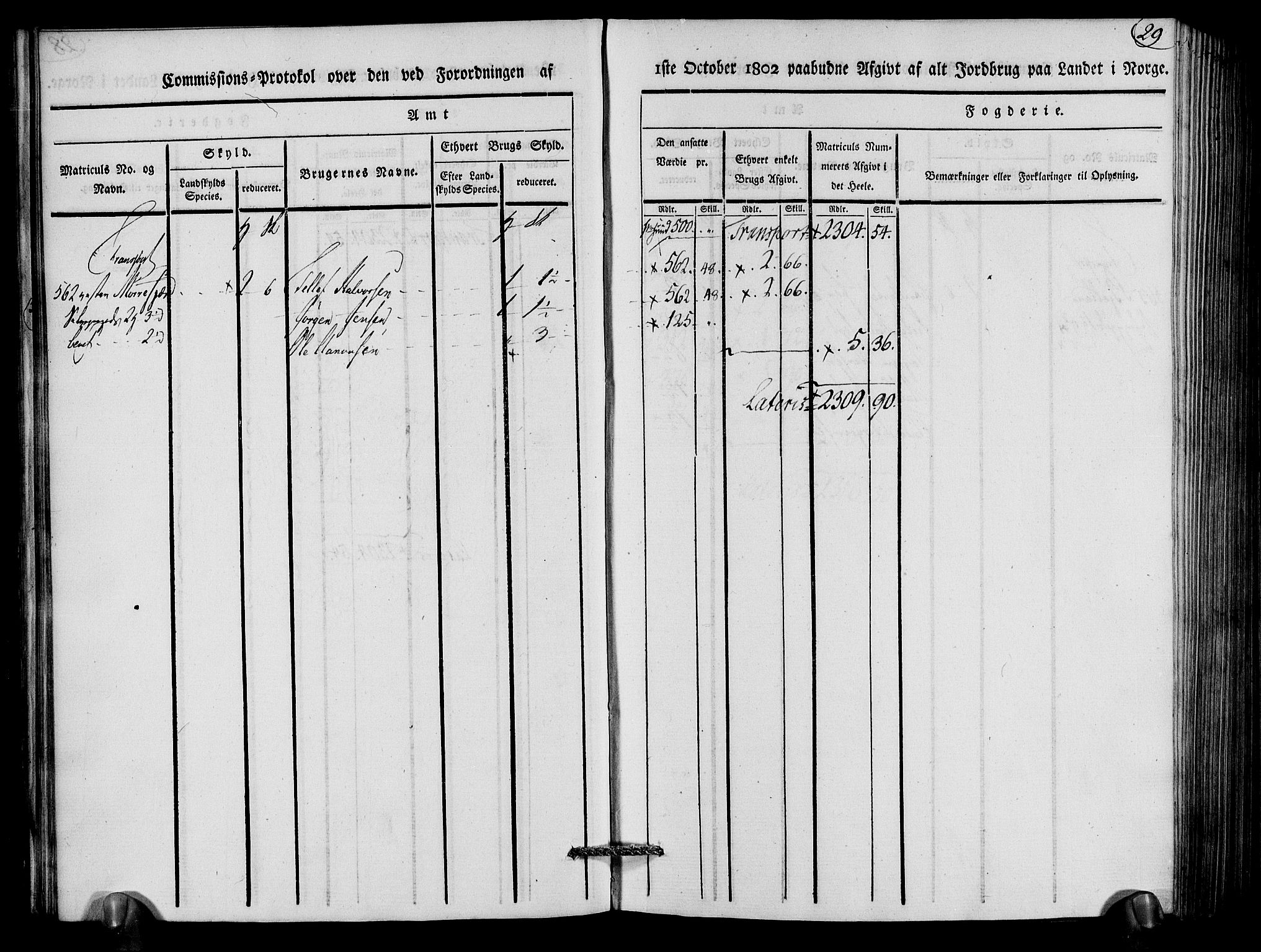 Rentekammeret inntil 1814, Realistisk ordnet avdeling, AV/RA-EA-4070/N/Ne/Nea/L0079: Nedenes fogderi. Kommisjonsprotokoll "Nr. 2", for Strengereid skipreide, 1803, p. 30